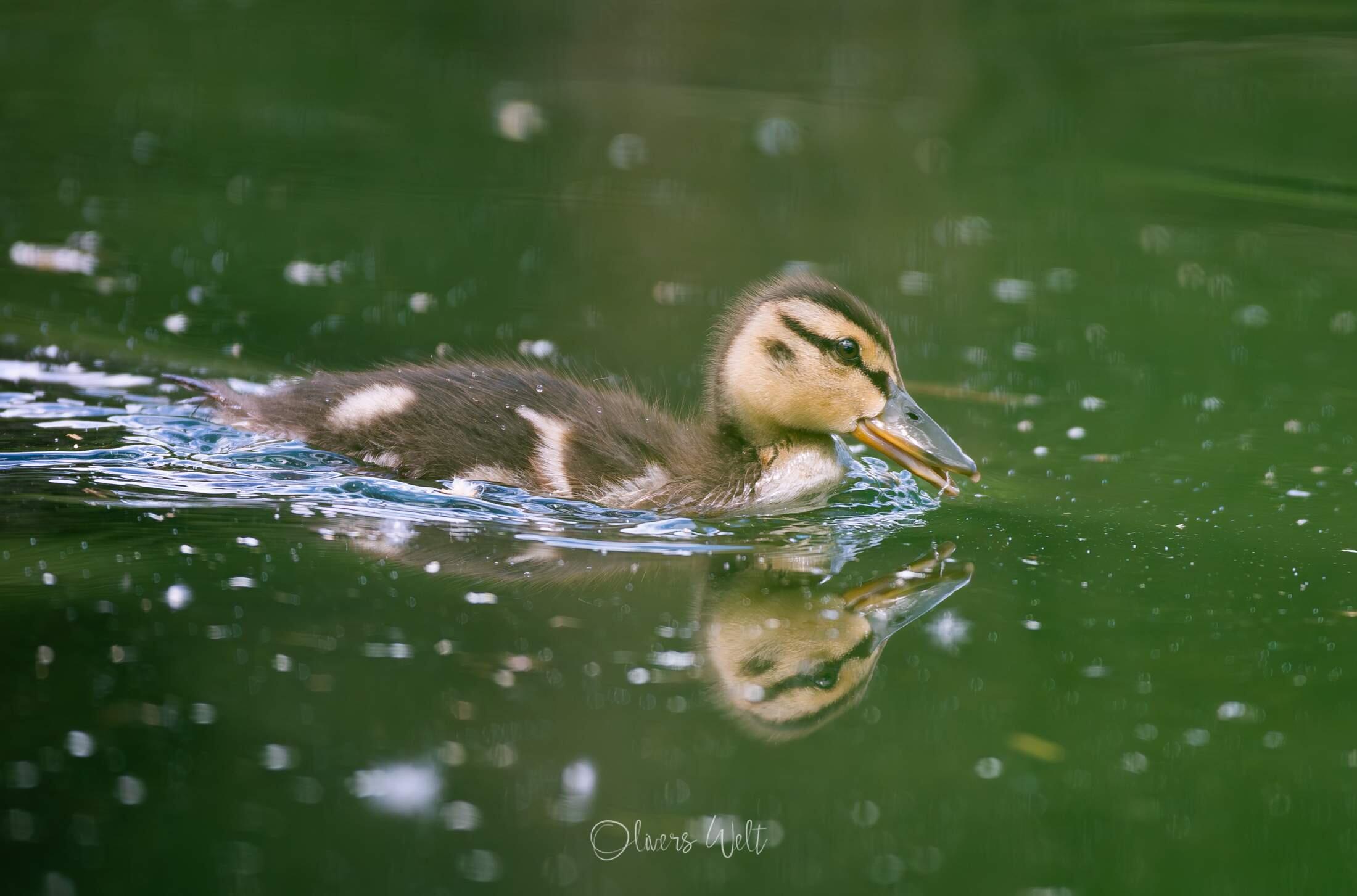 Bild ohne Beschreibung Bild ohne Beschreibung