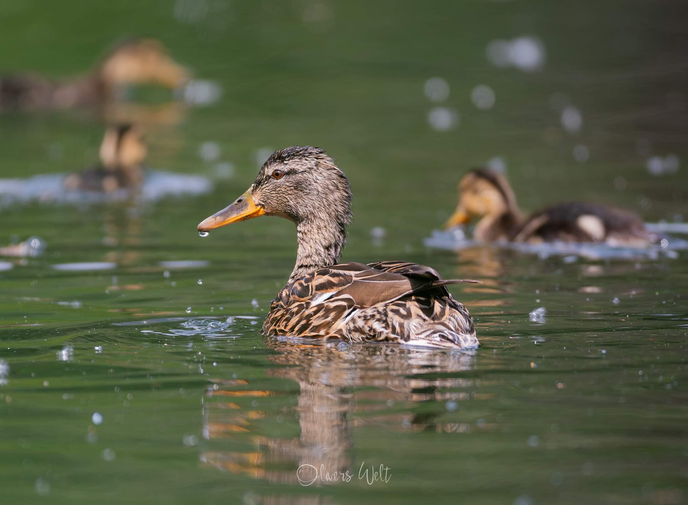 Bild ohne Beschreibung Bild ohne Beschreibung