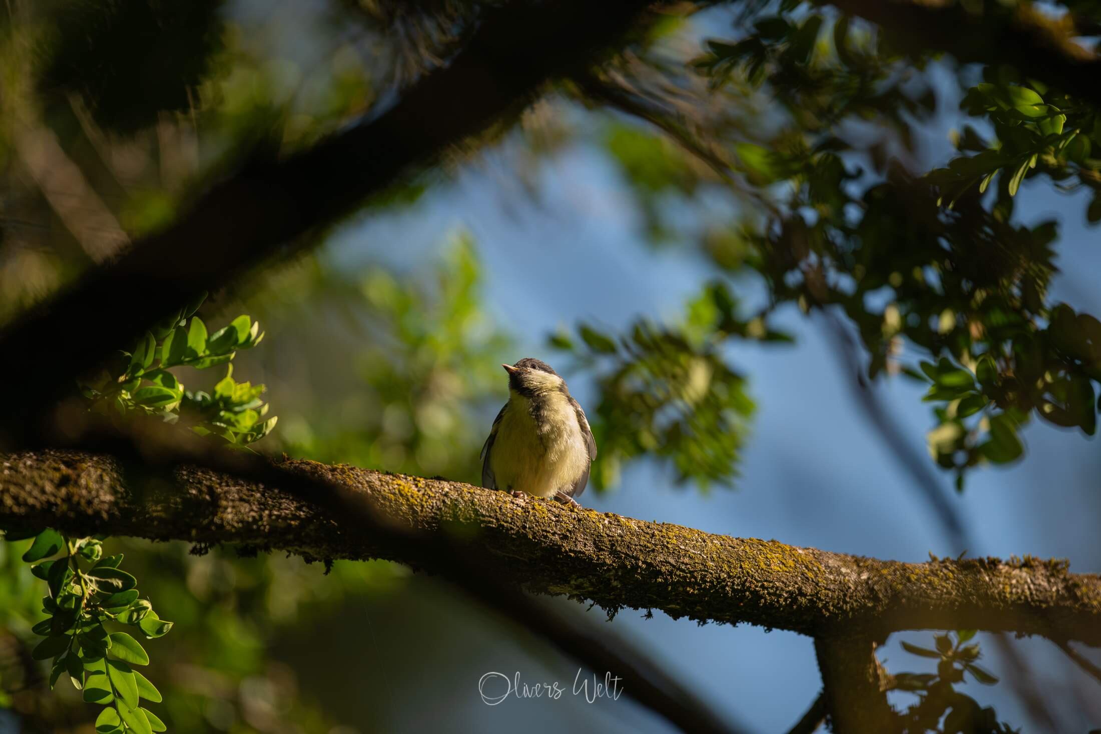 Bild ohne Beschreibung Bild ohne Beschreibung