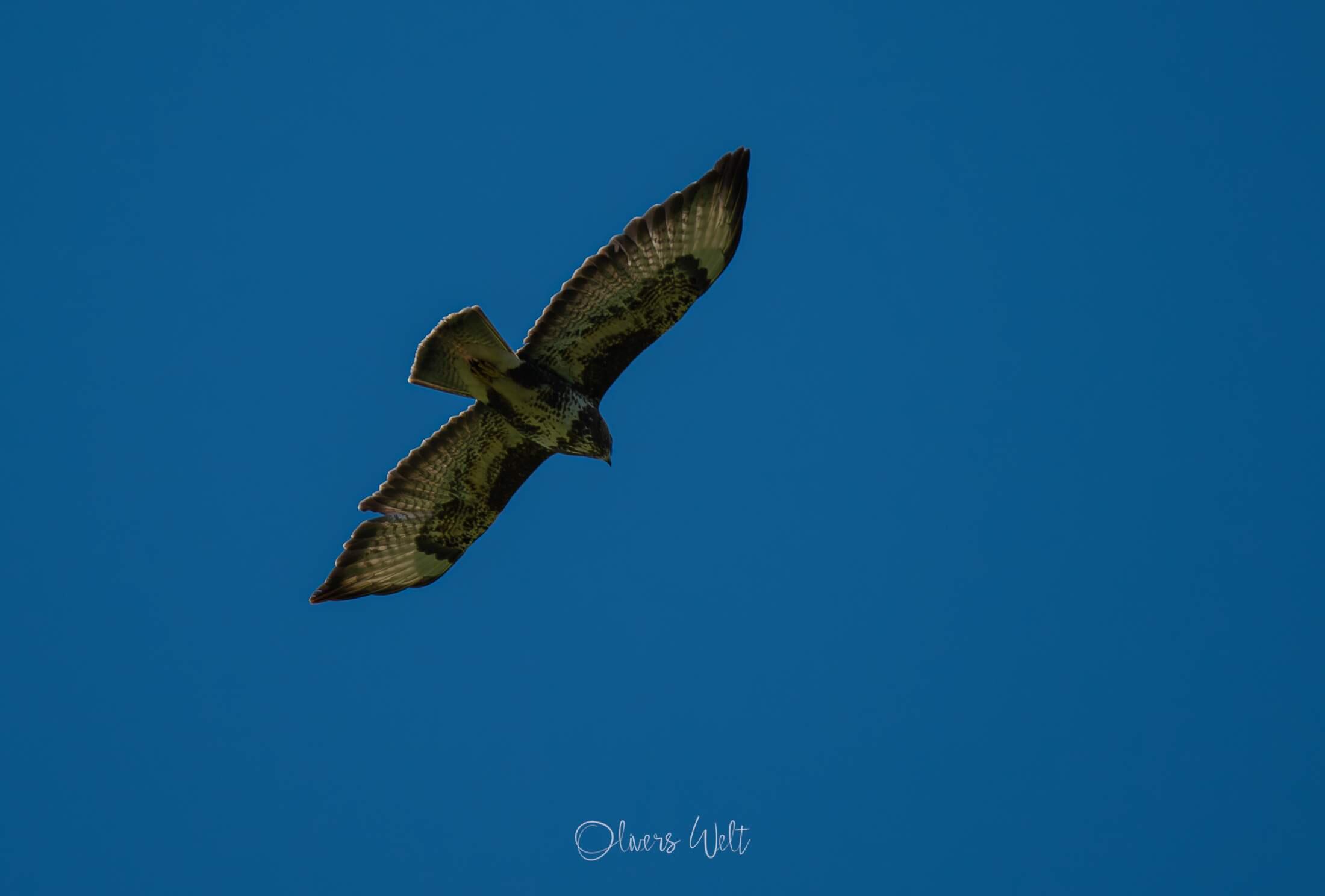 Bild ohne Beschreibung Bild ohne Beschreibung