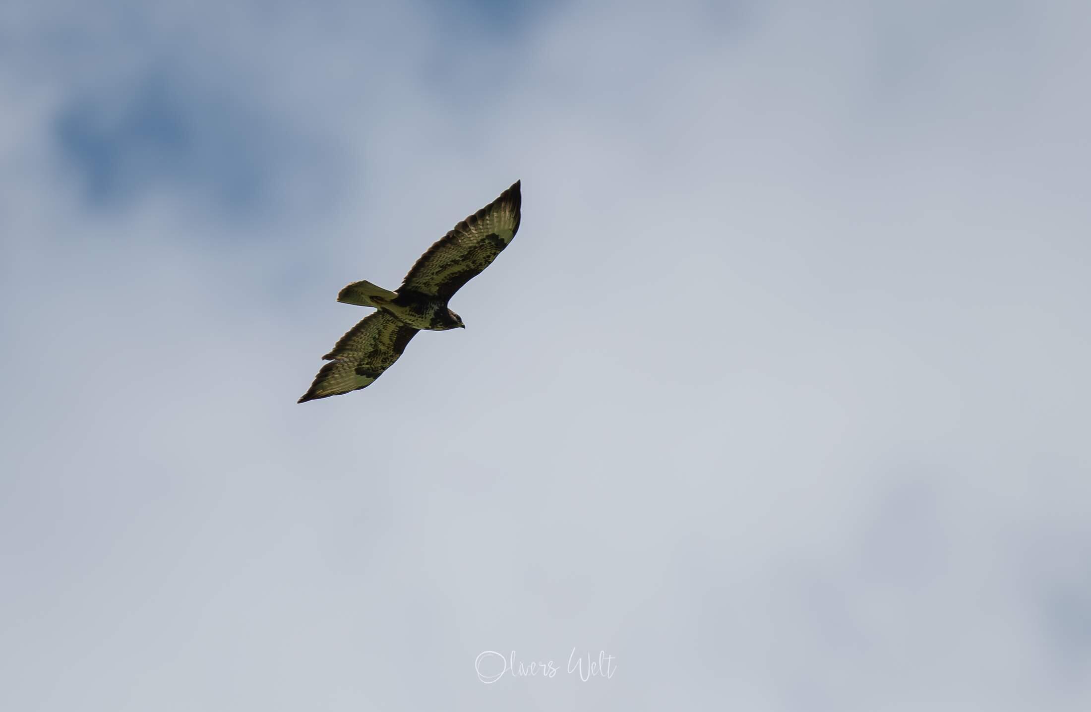 Bild ohne Beschreibung Bild ohne Beschreibung