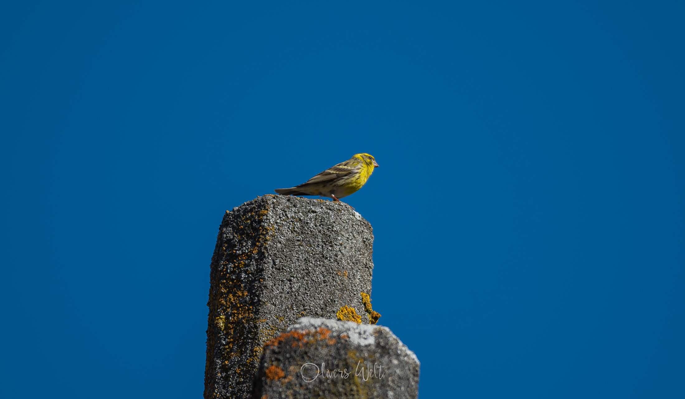 Bild ohne Beschreibung Bild ohne Beschreibung