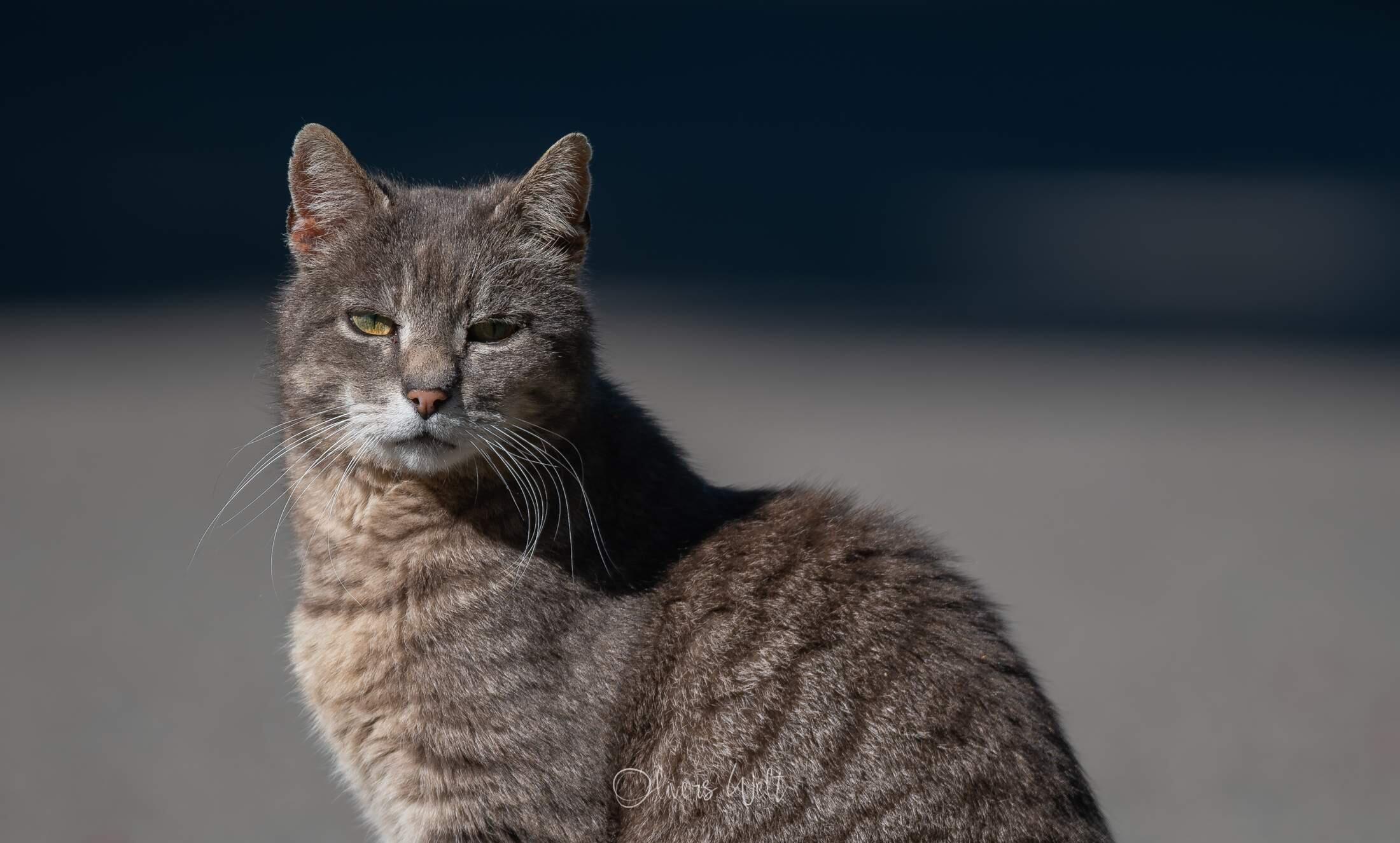 Bild ohne Beschreibung Bild ohne Beschreibung