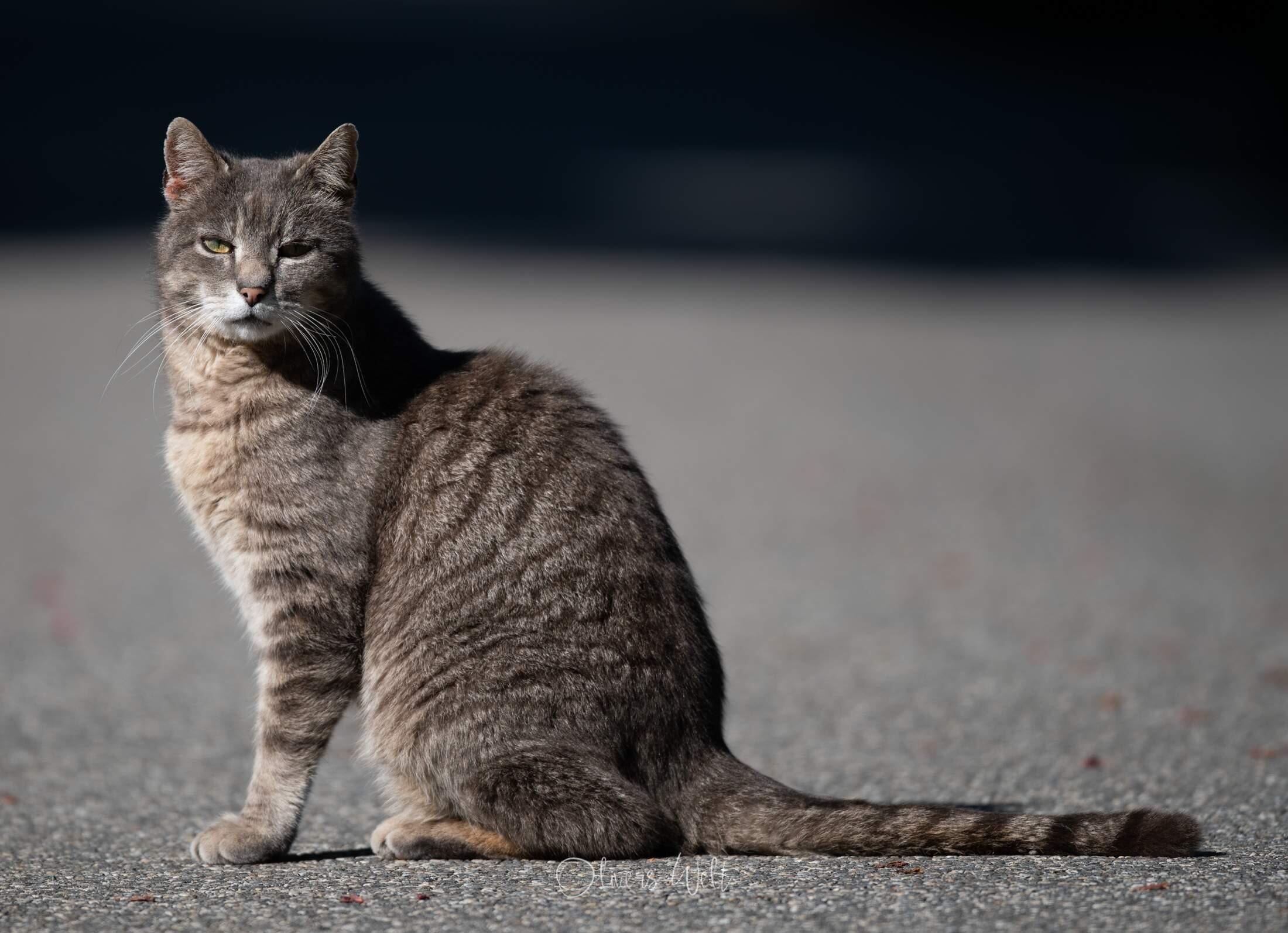 Bild ohne Beschreibung Bild ohne Beschreibung