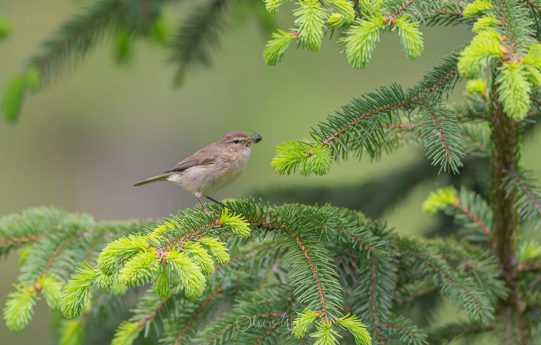 Bild ohne Beschreibung Bild ohne Beschreibung