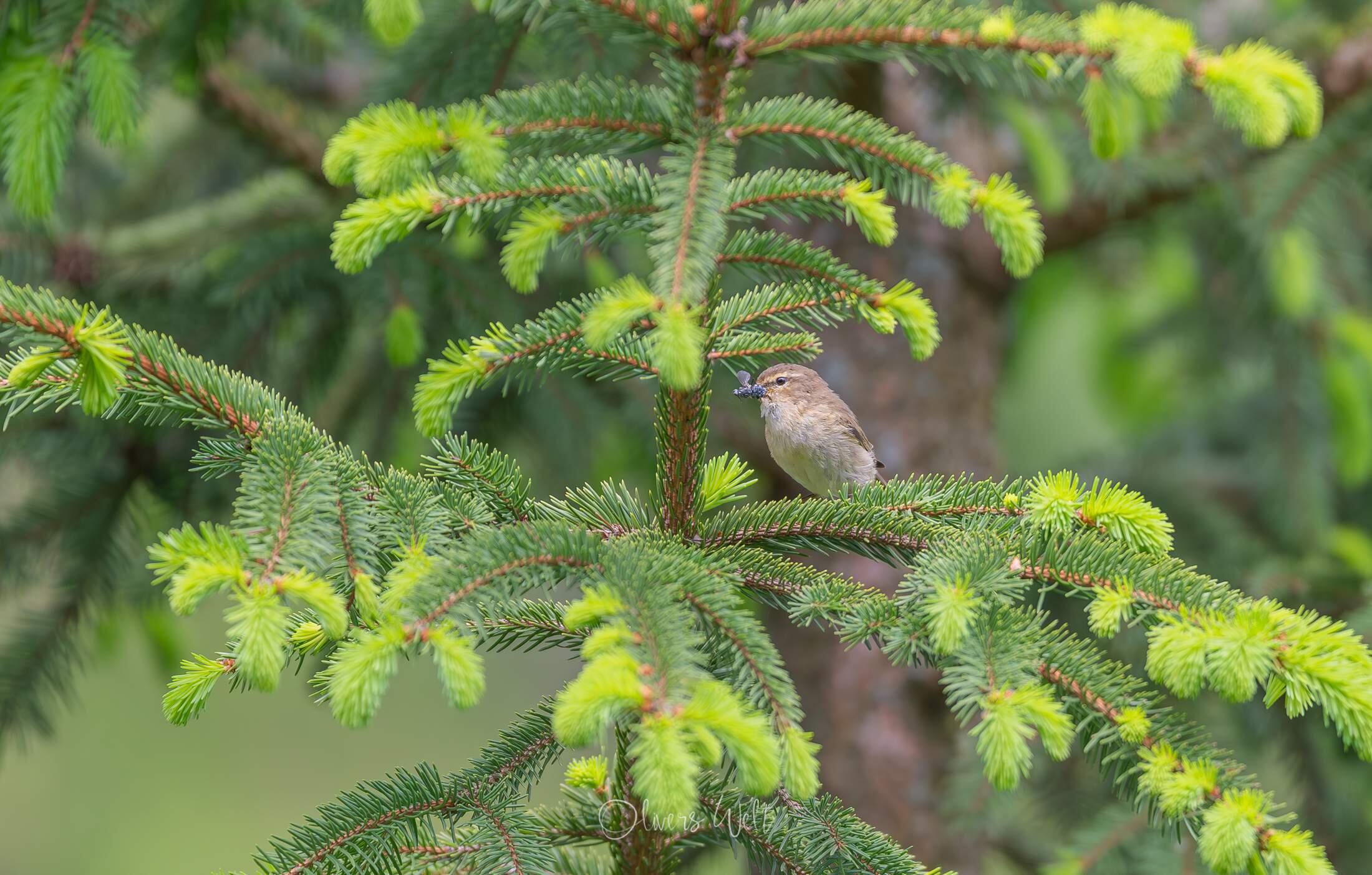 Bild ohne Beschreibung Bild ohne Beschreibung