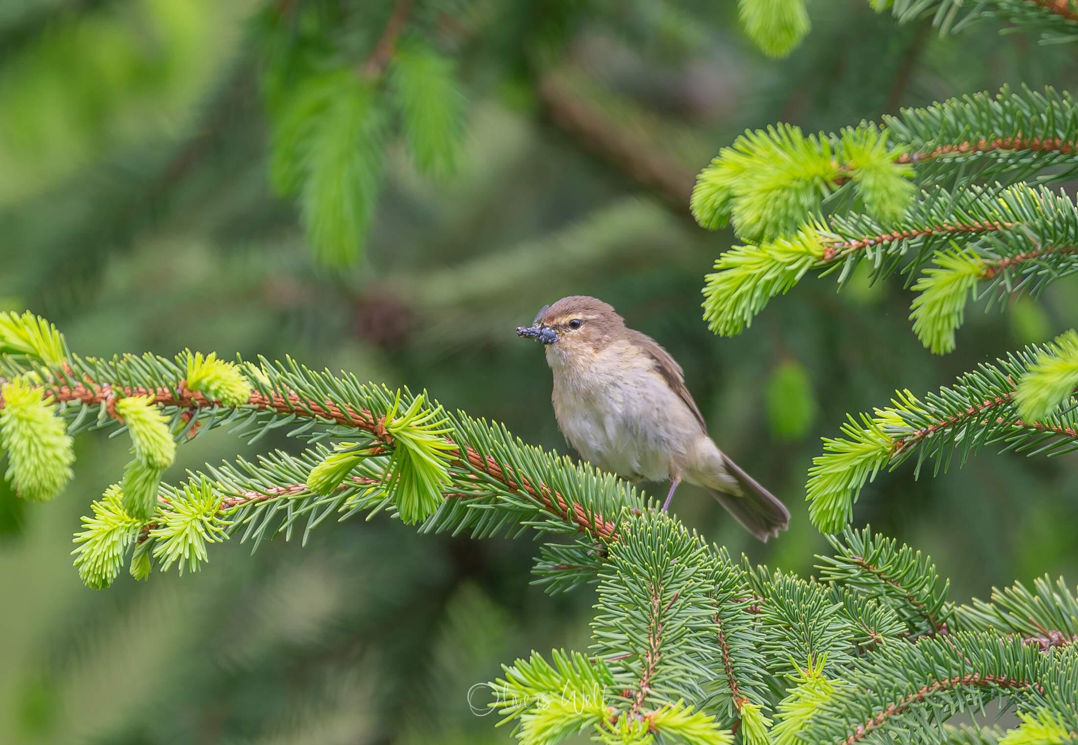 Bild ohne Beschreibung Bild ohne Beschreibung