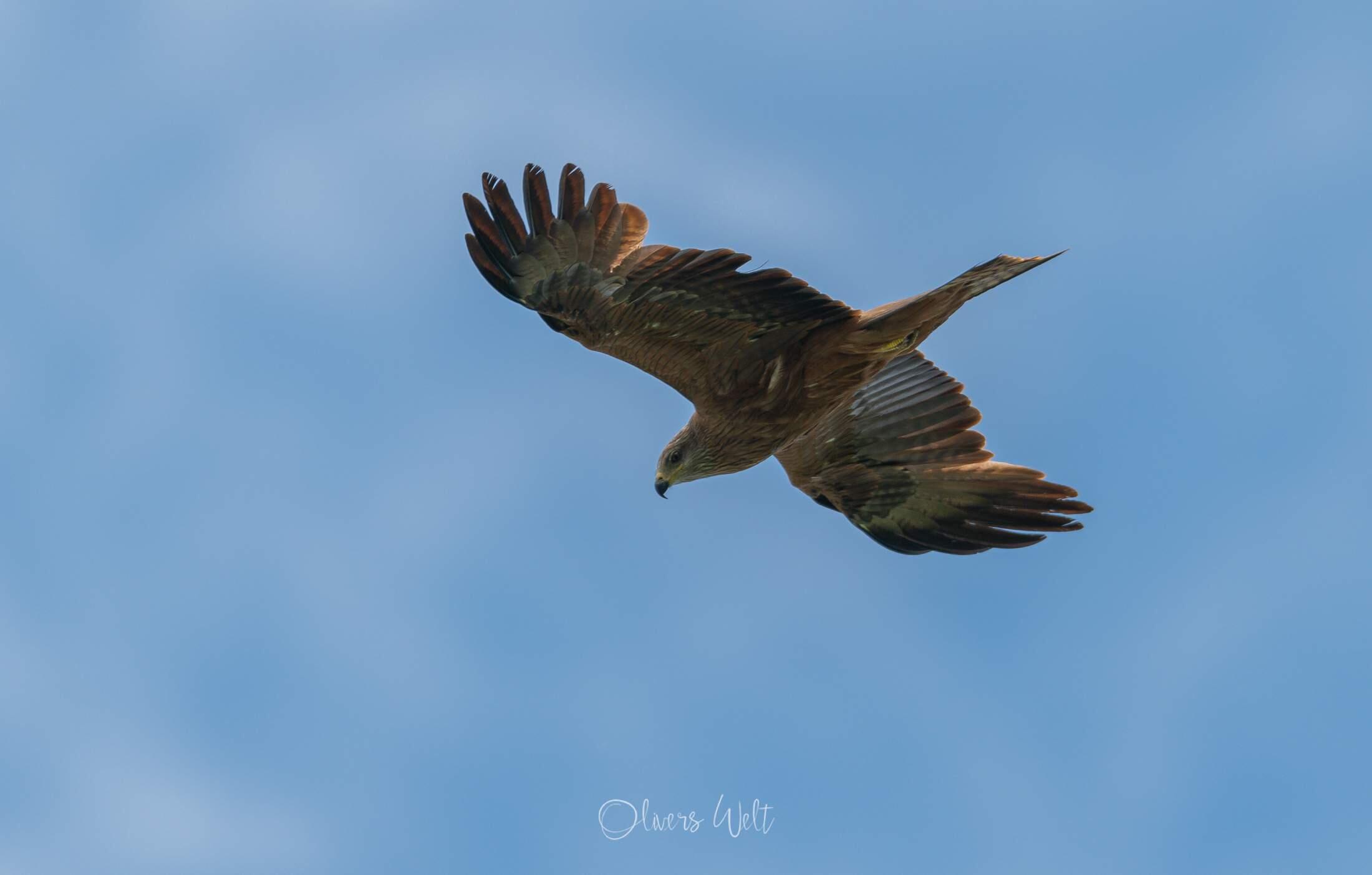 Bild ohne Beschreibung Bild ohne Beschreibung