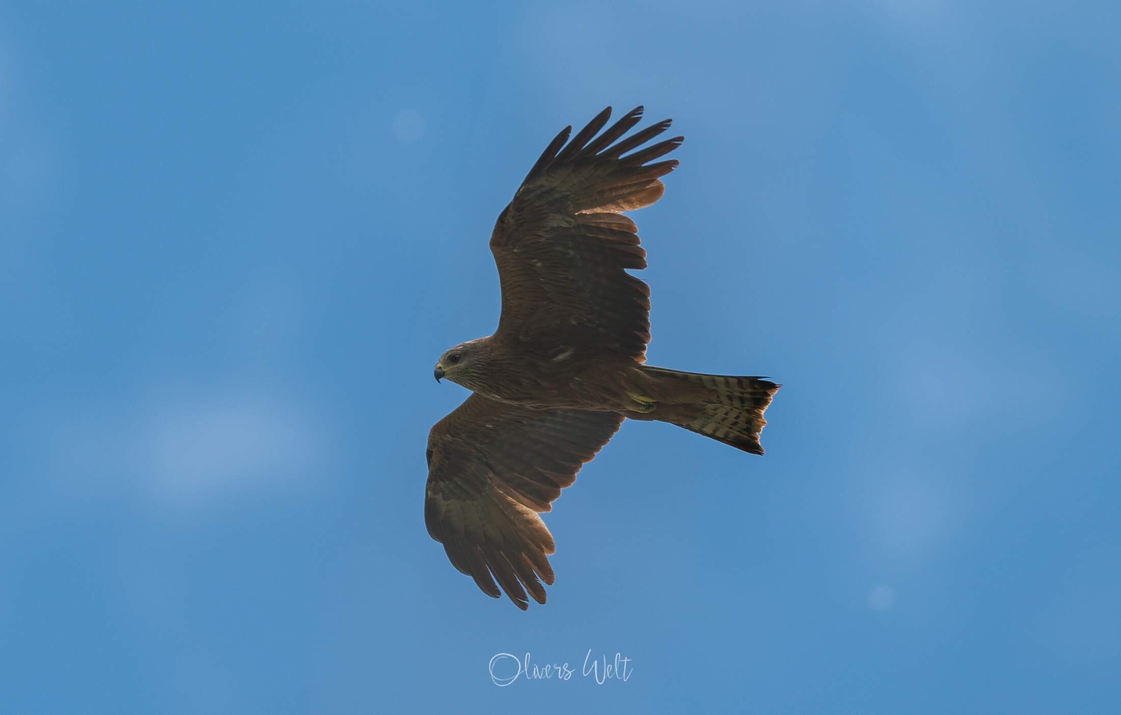 Bild ohne Beschreibung Bild ohne Beschreibung