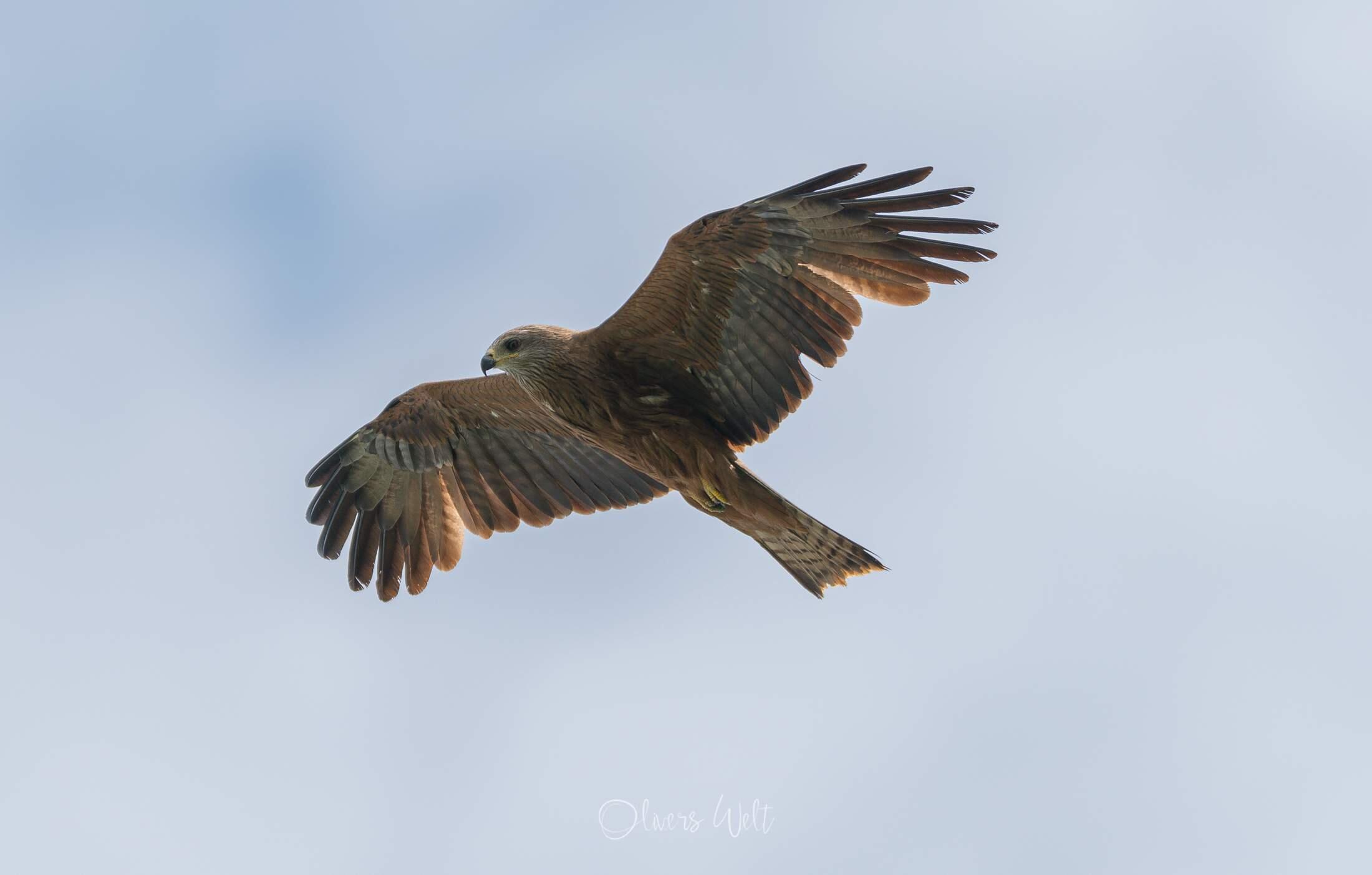 Bild ohne Beschreibung Bild ohne Beschreibung