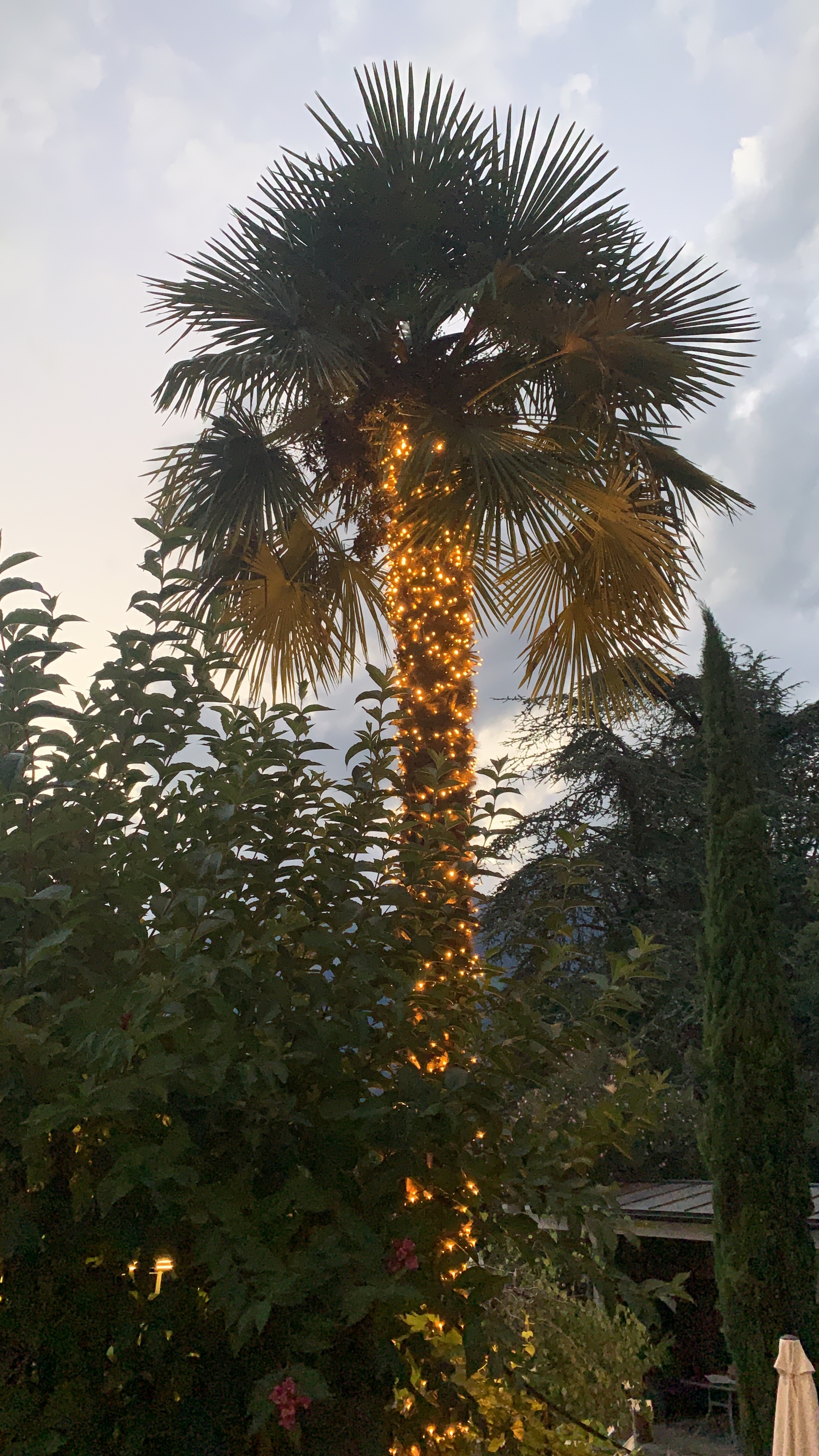 Bild ohne Beschreibung