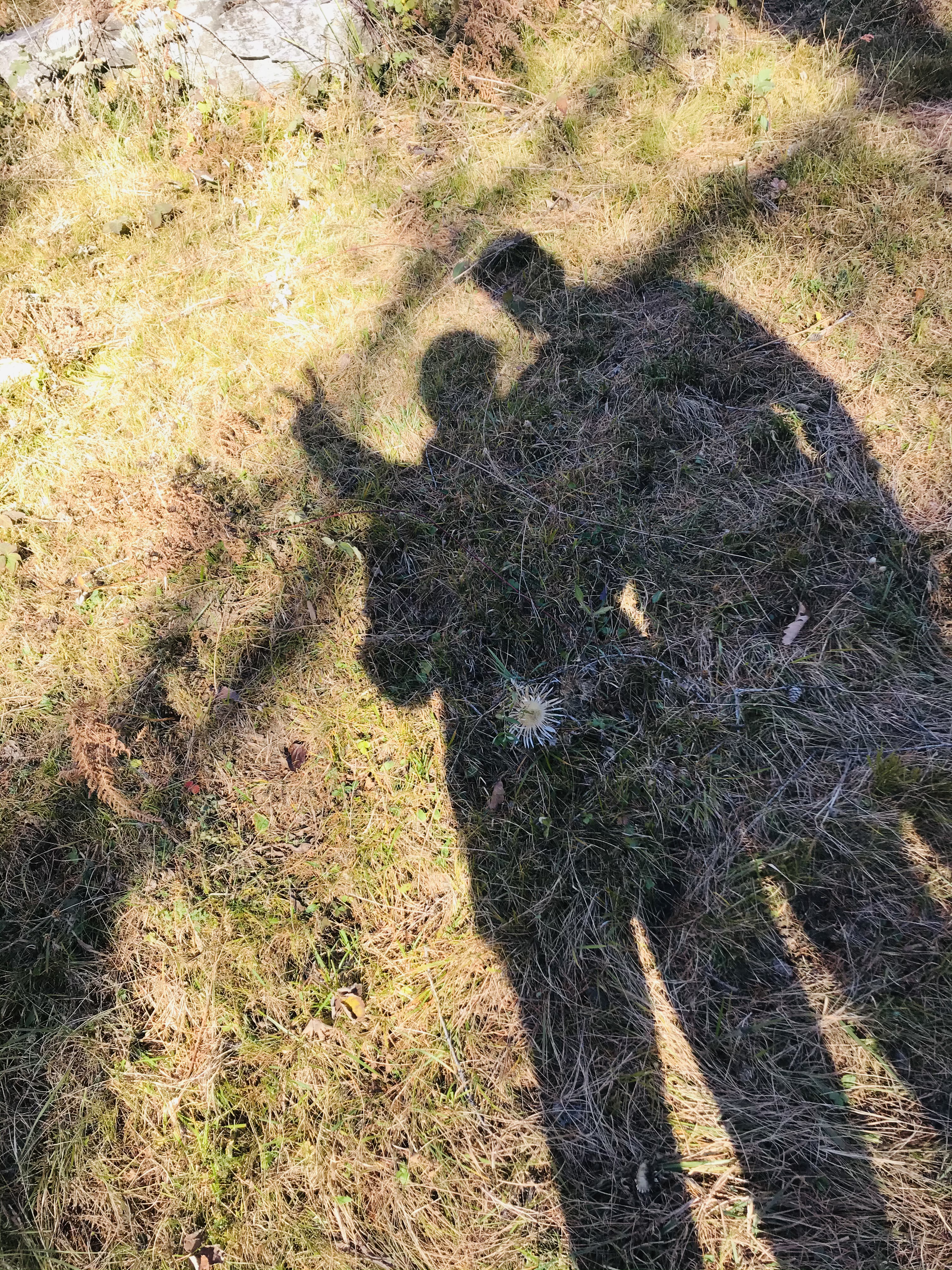 Bild ohne Beschreibung