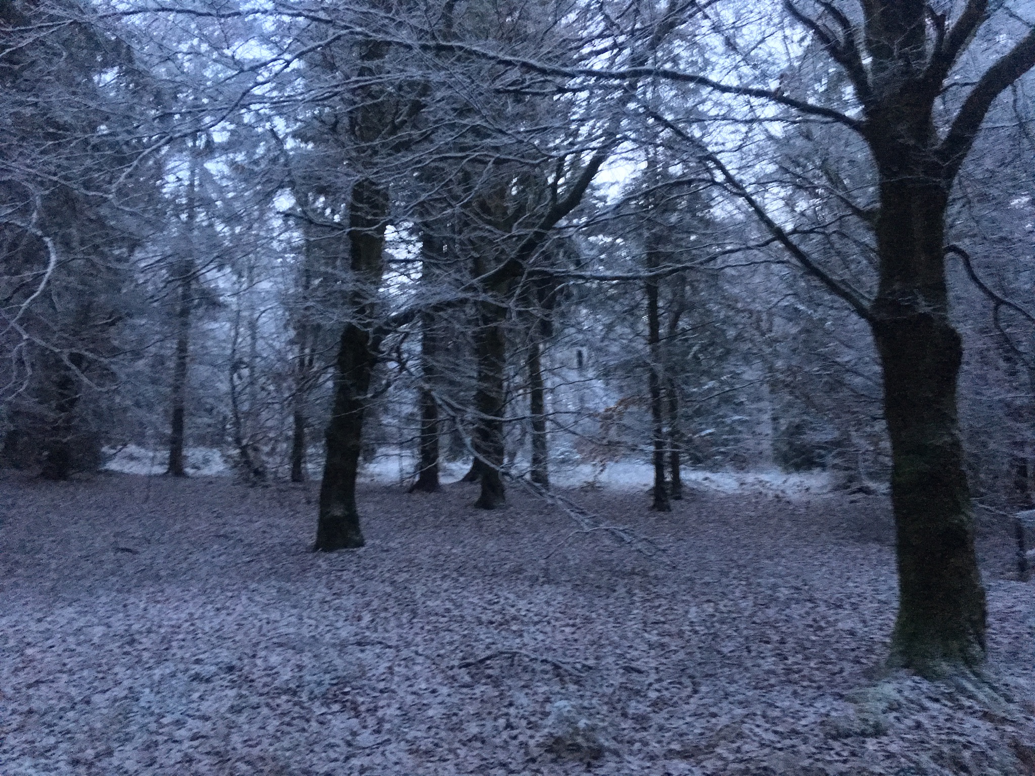 Bild ohne Beschreibung