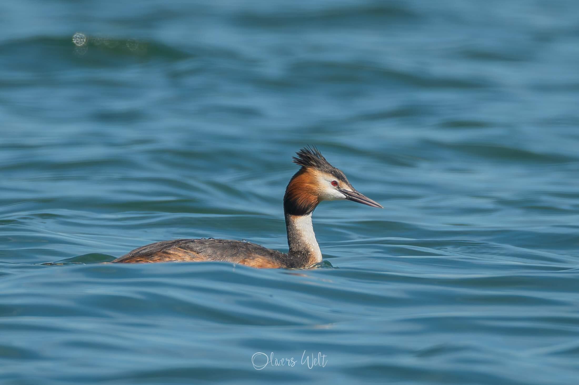 Bild ohne Beschreibung Bild ohne Beschreibung