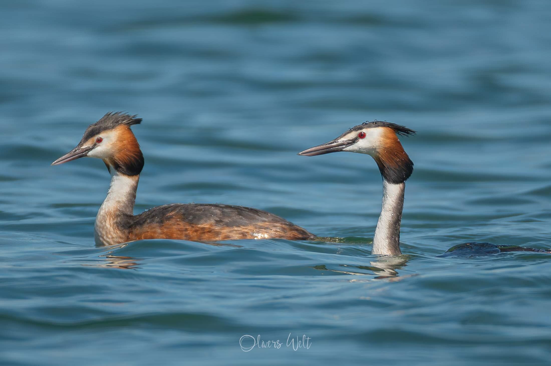 Bild ohne Beschreibung Bild ohne Beschreibung