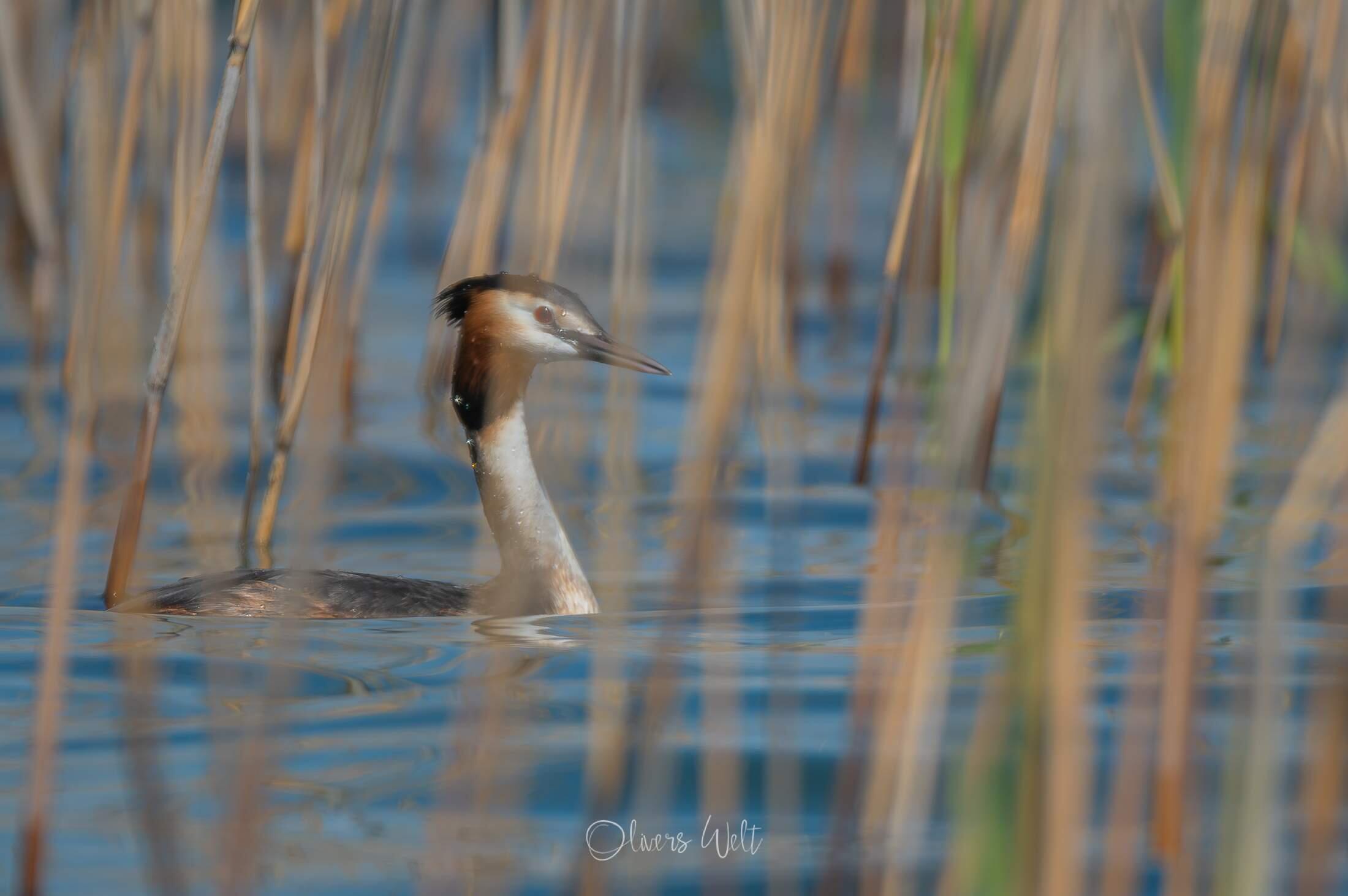 Bild ohne Beschreibung Bild ohne Beschreibung