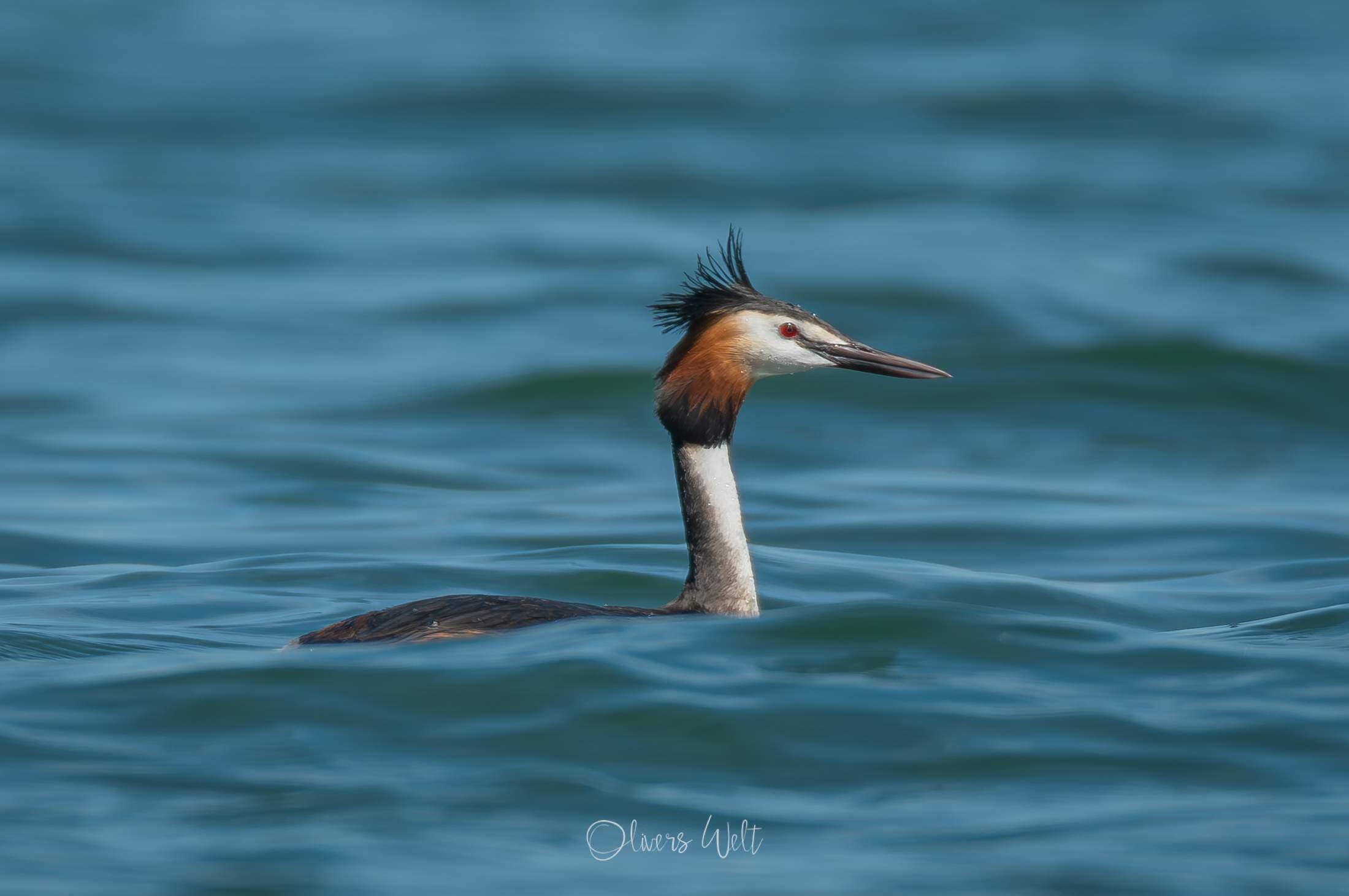 Bild ohne Beschreibung Bild ohne Beschreibung