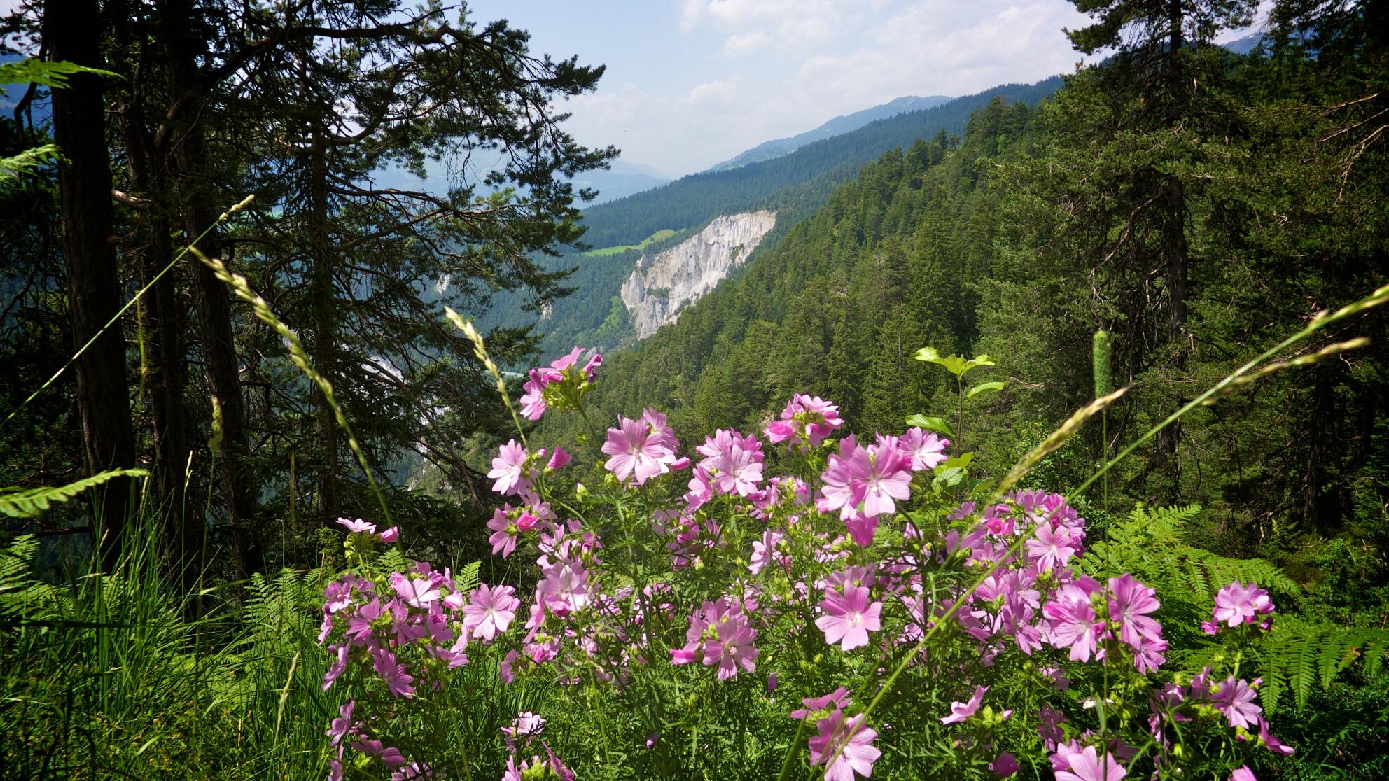 Bild ohne Beschreibung Bild ohne Beschreibung