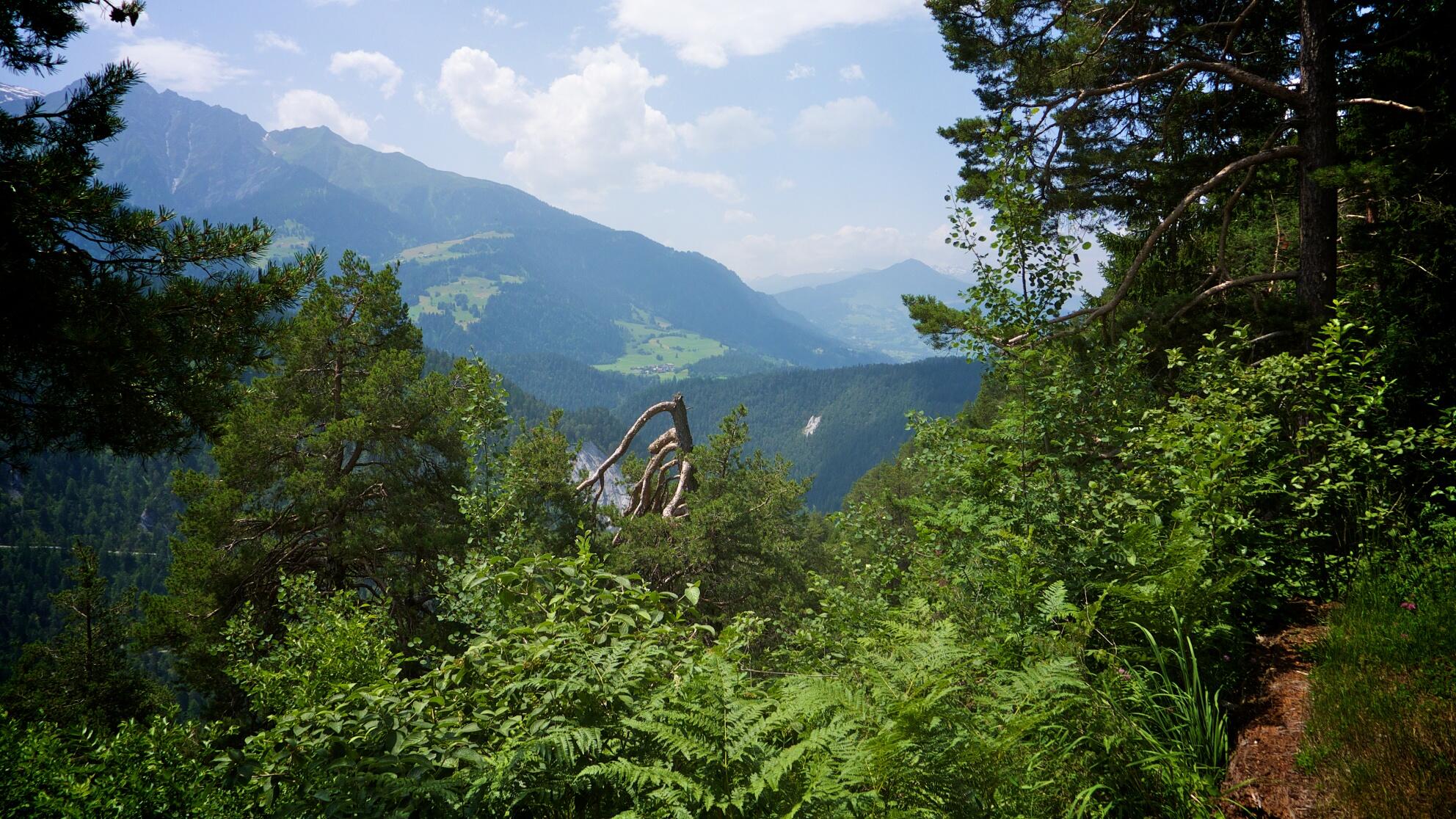 Bild ohne Beschreibung Bild ohne Beschreibung