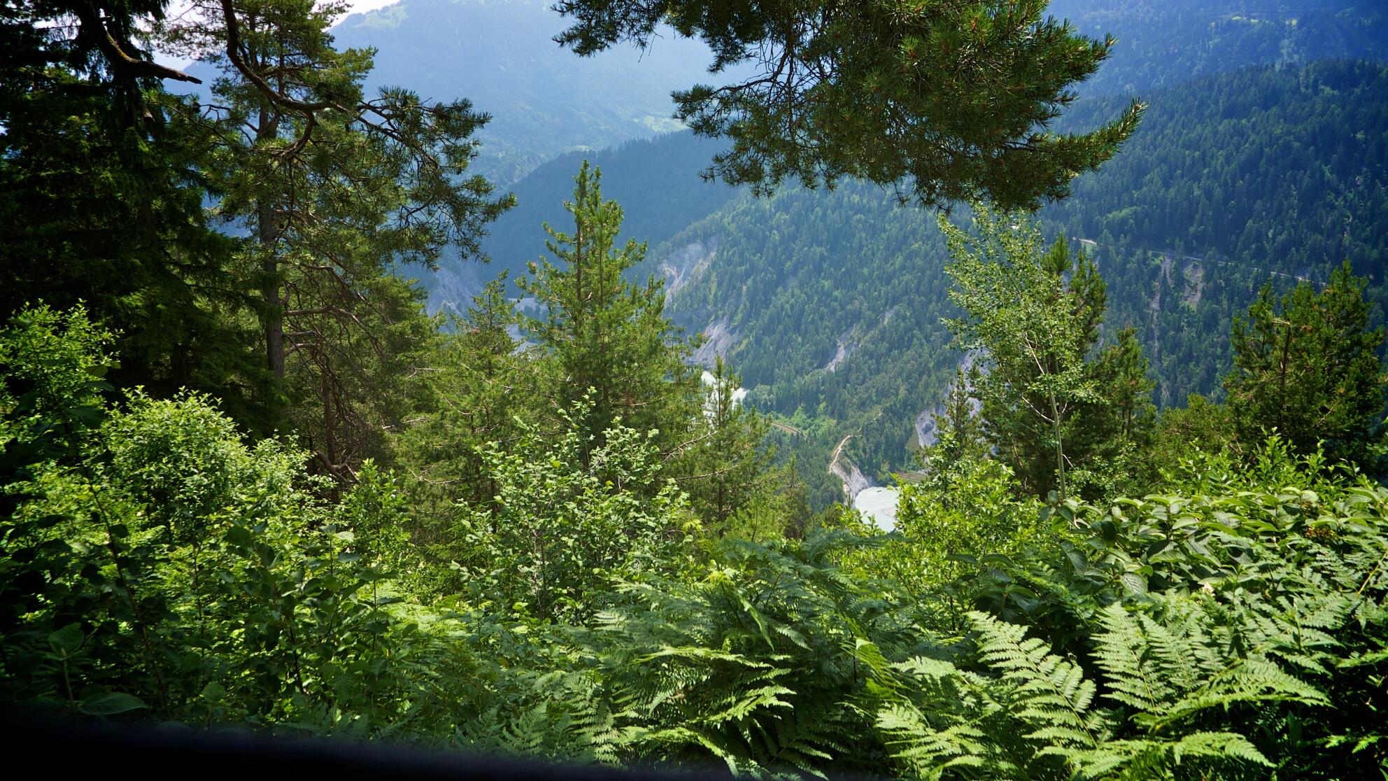 Bild ohne Beschreibung Bild ohne Beschreibung