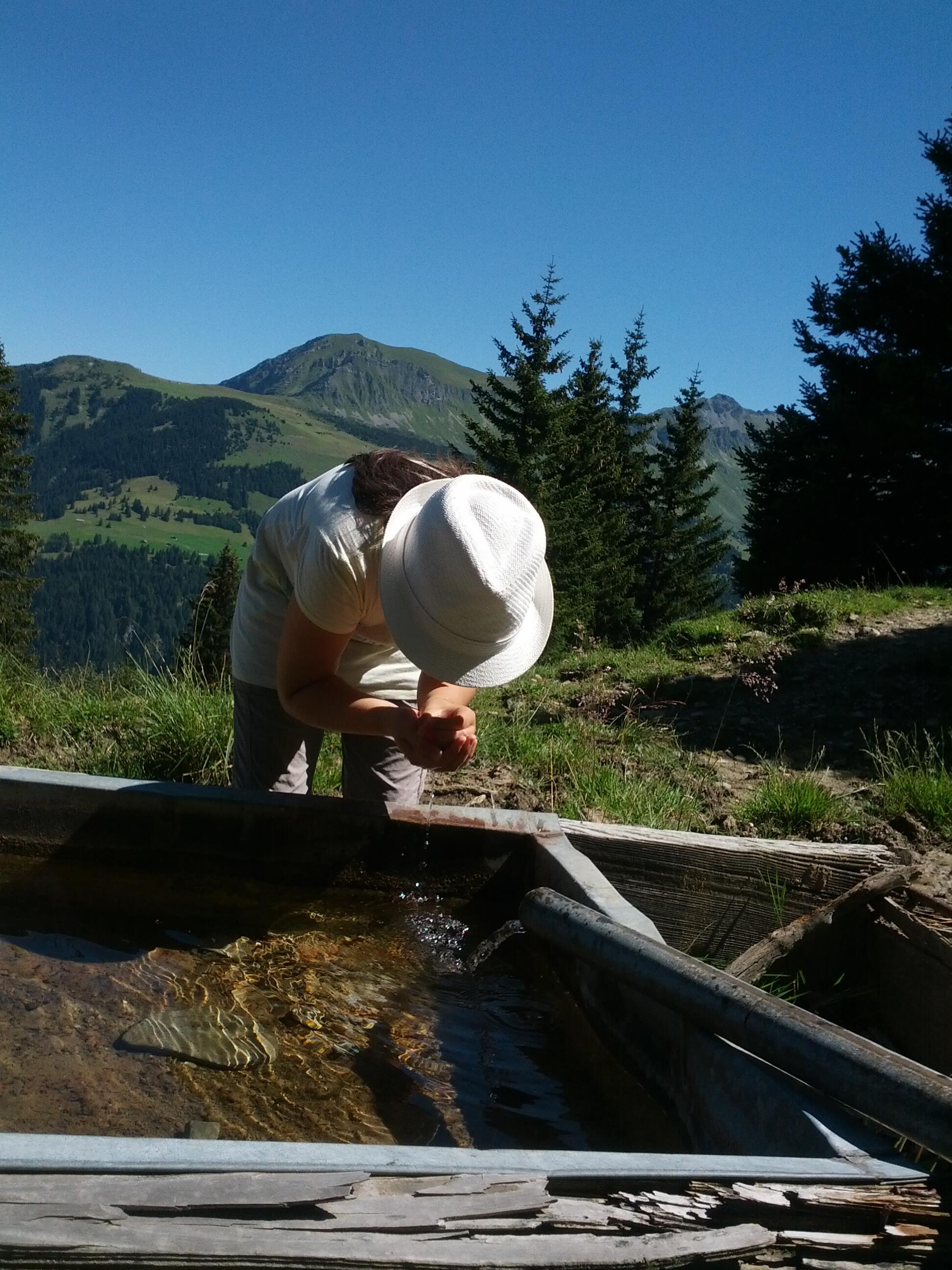 Bild ohne Beschreibung