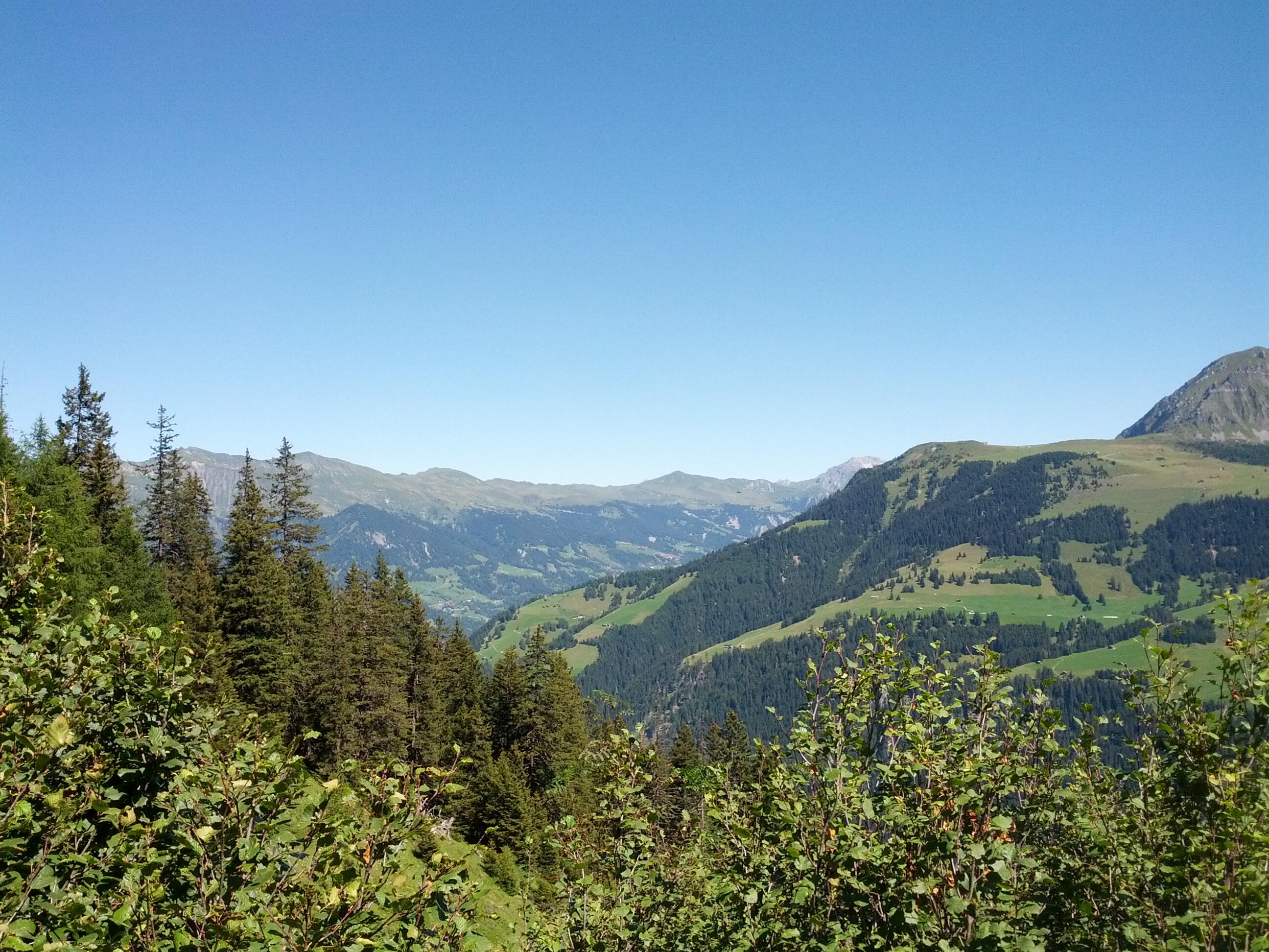 Bild ohne Beschreibung