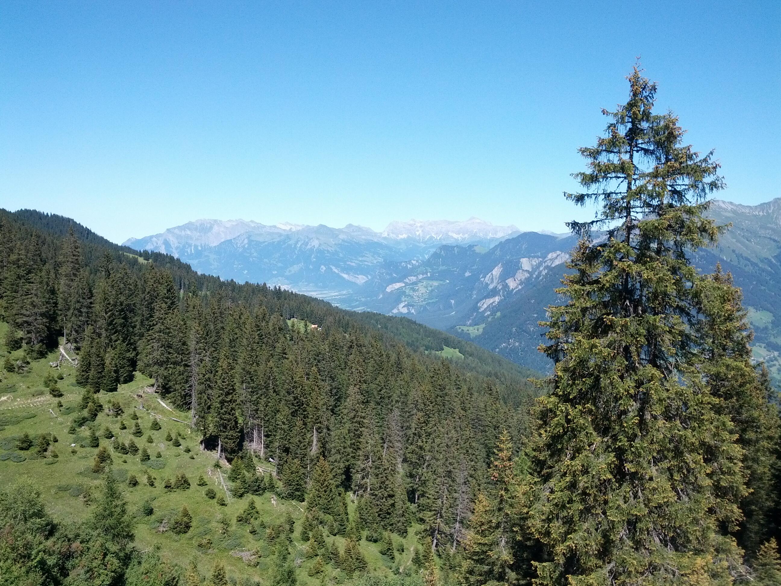 Bild ohne Beschreibung