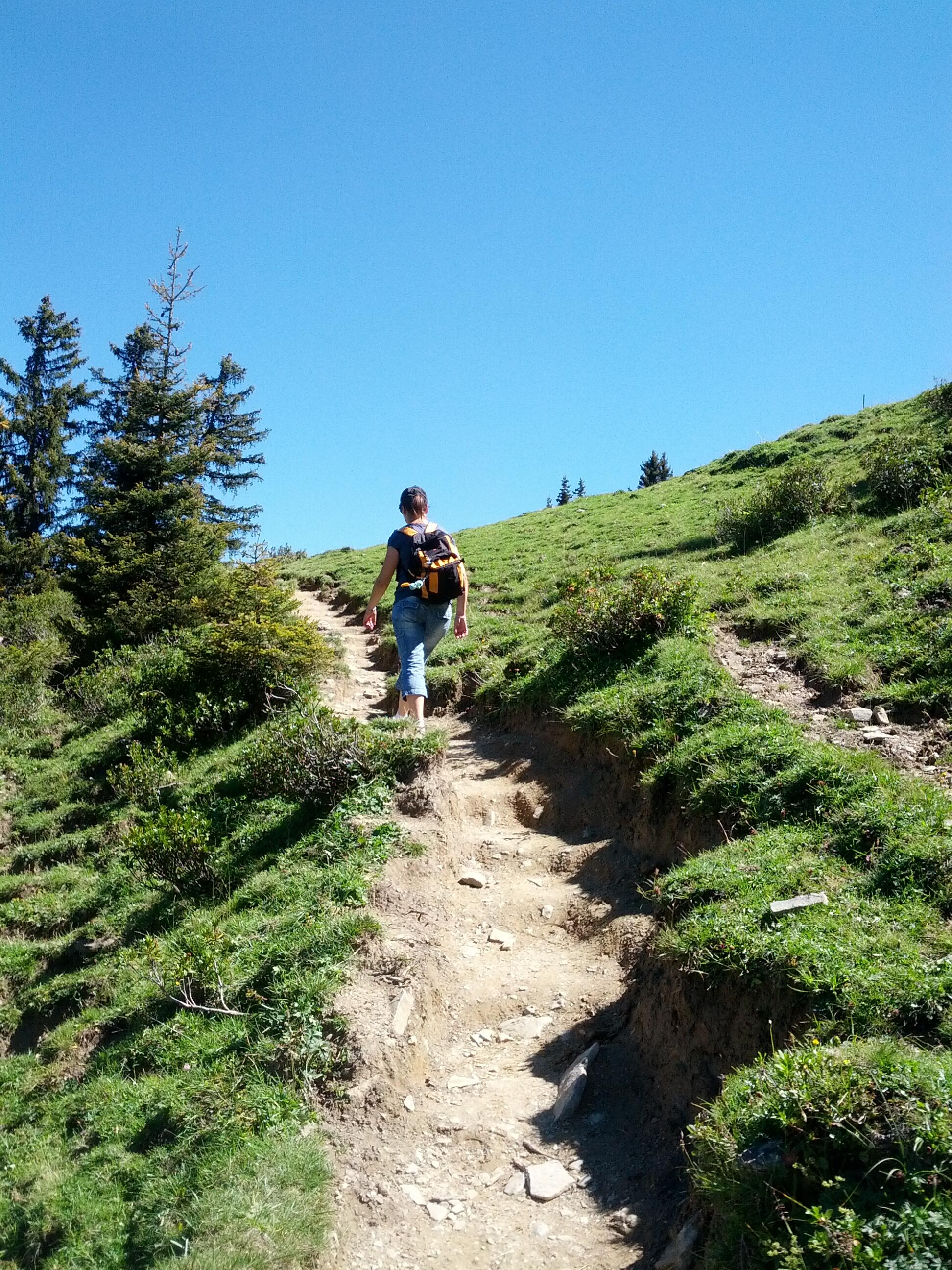 Bild ohne Beschreibung