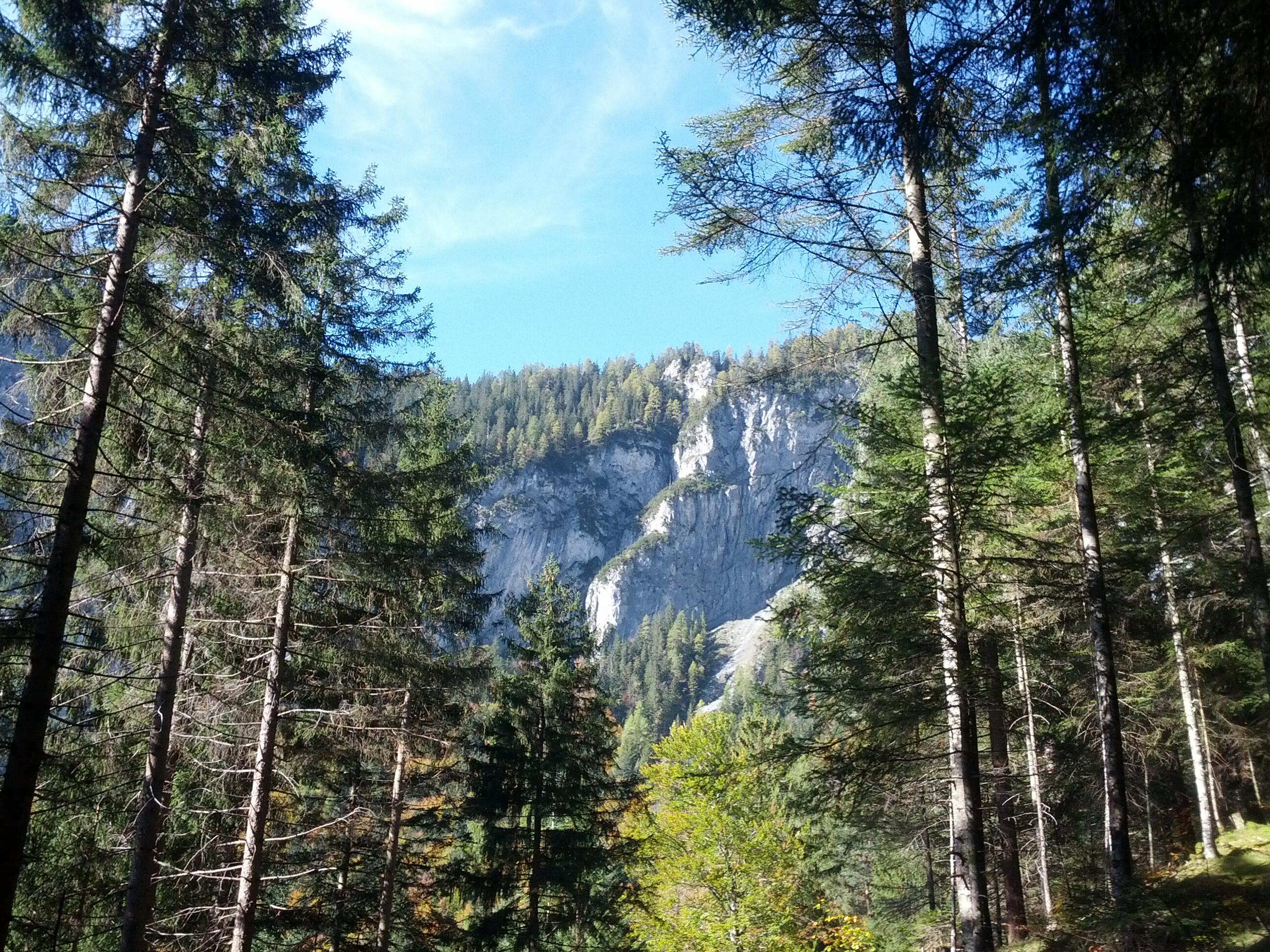 Bild ohne Beschreibung