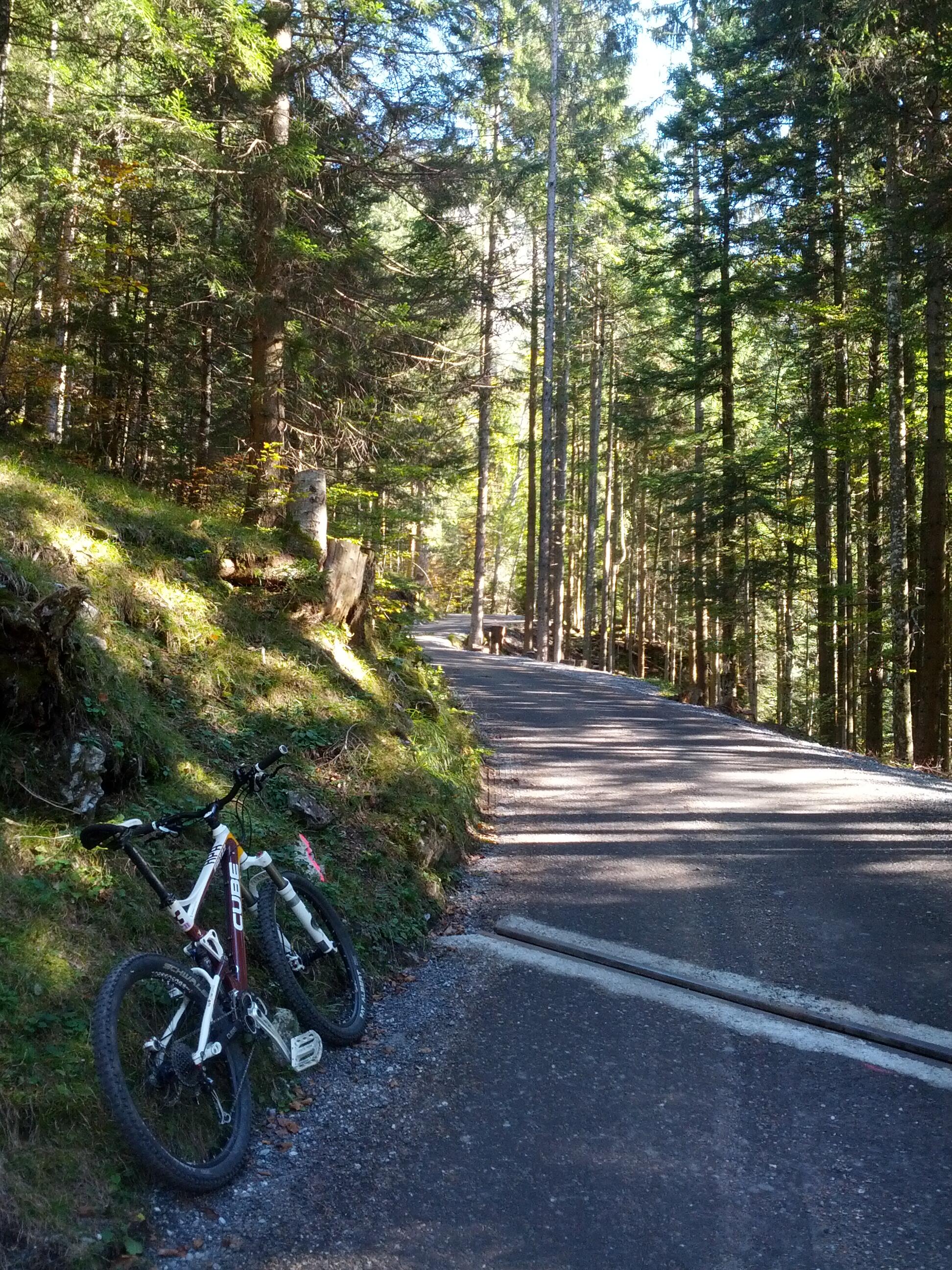 Bild ohne Beschreibung