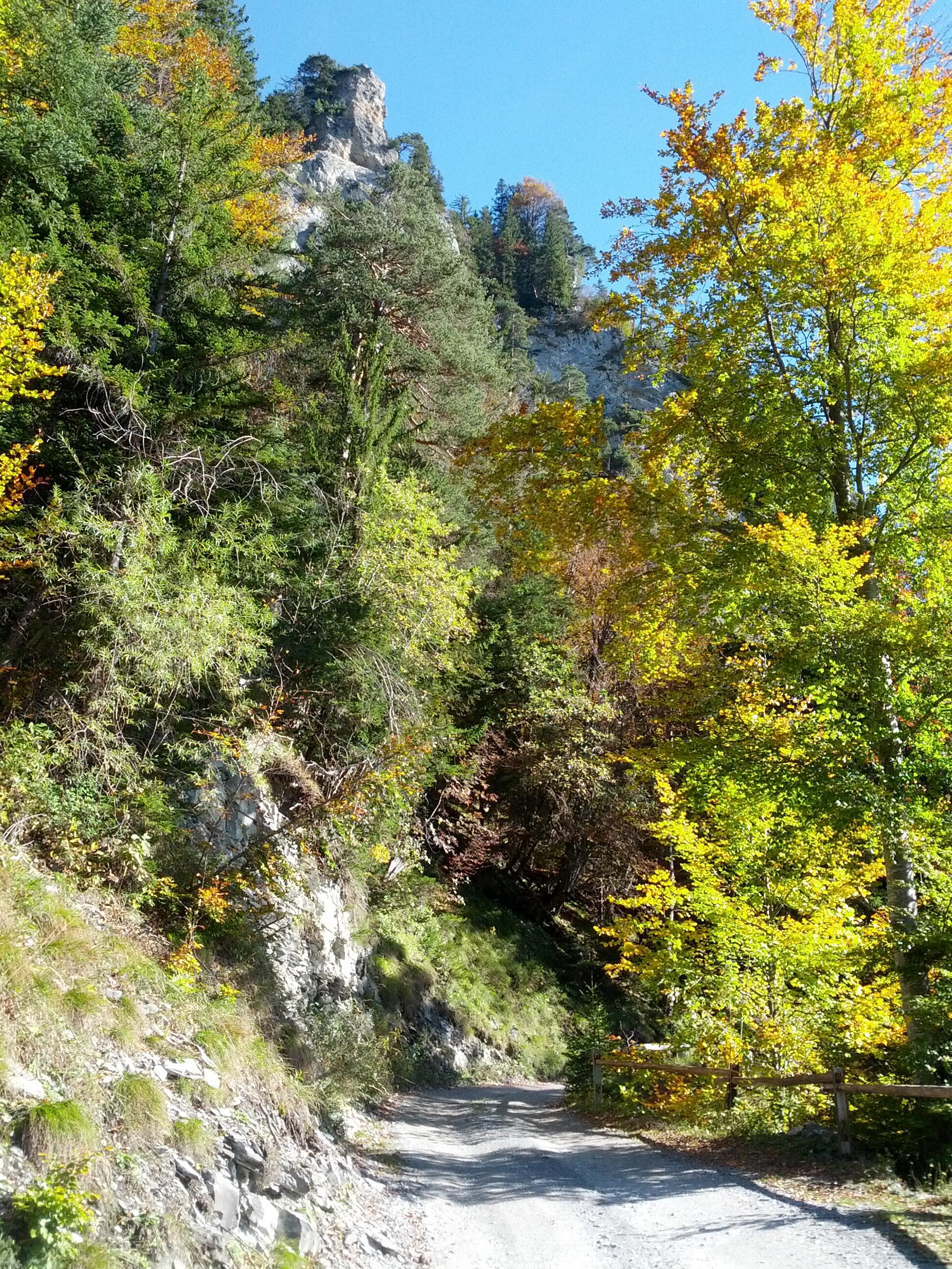 Bild ohne Beschreibung