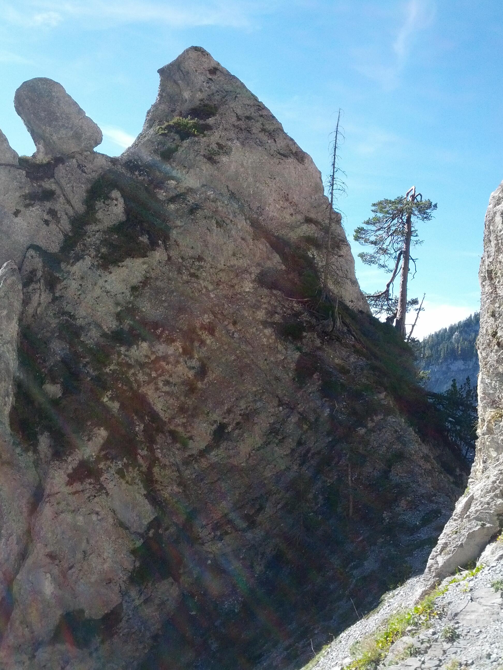 Bild ohne Beschreibung