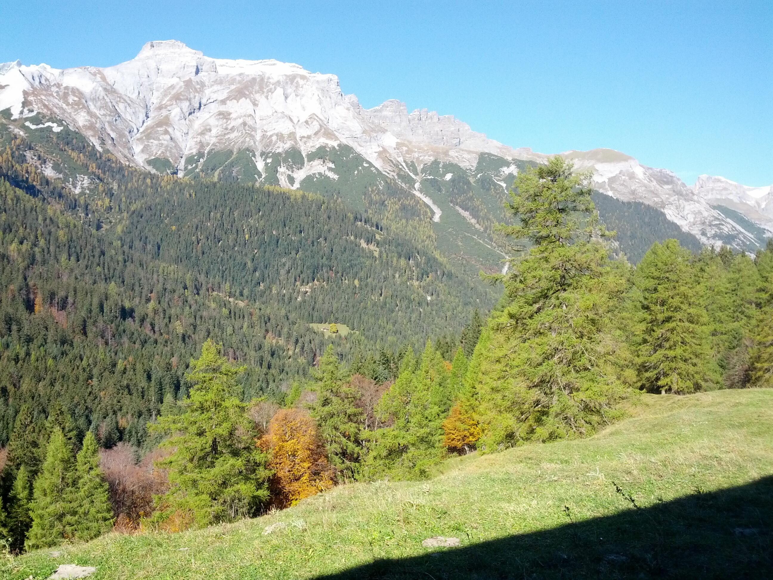 Bild ohne Beschreibung