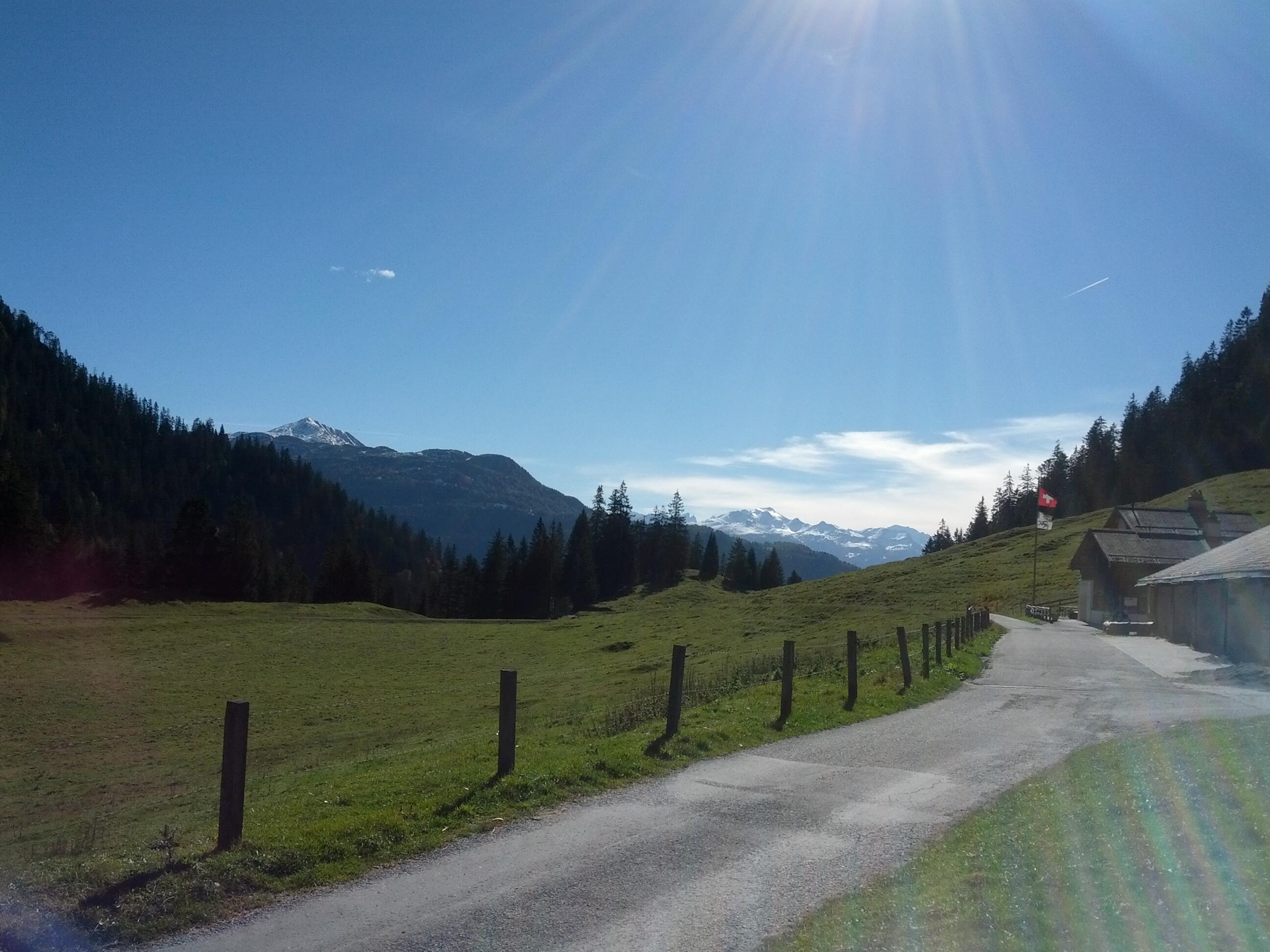 Bild ohne Beschreibung