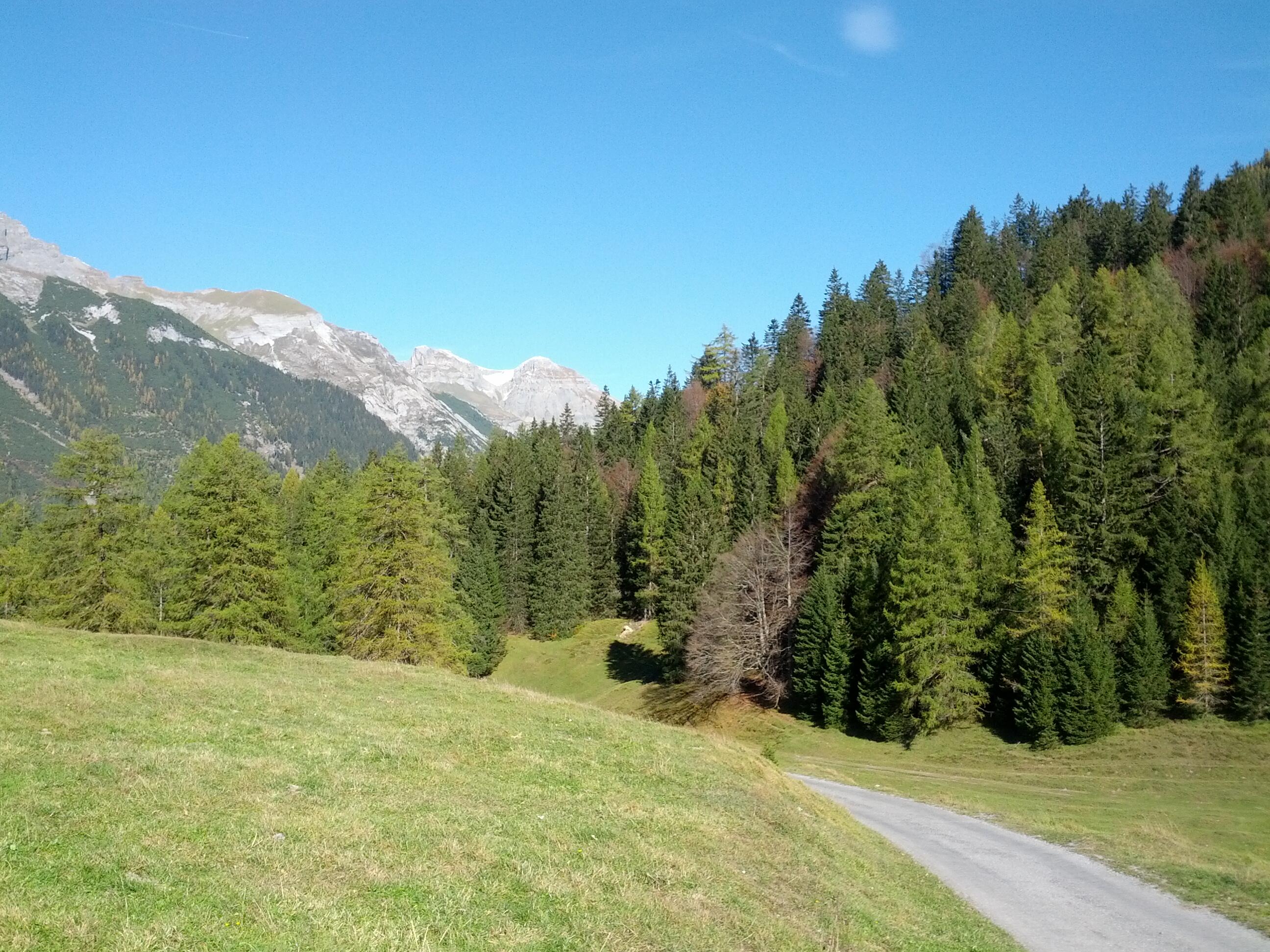 Bild ohne Beschreibung