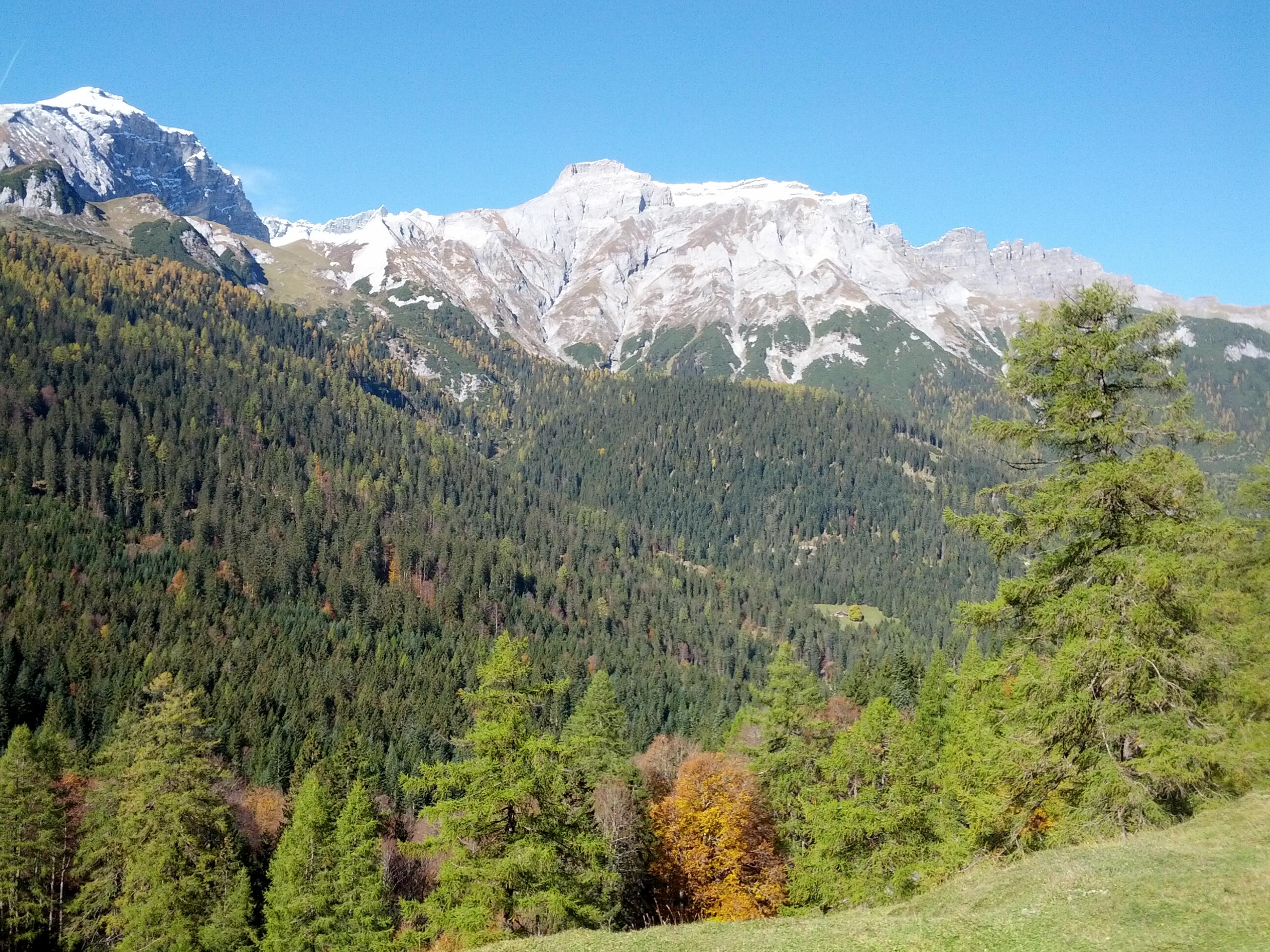 Bild ohne Beschreibung