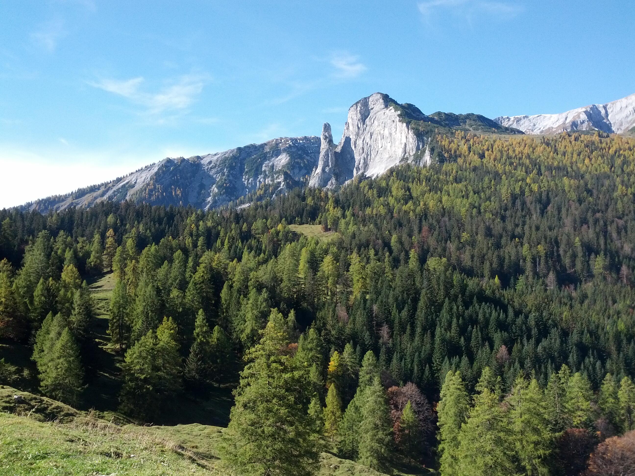 Bild ohne Beschreibung