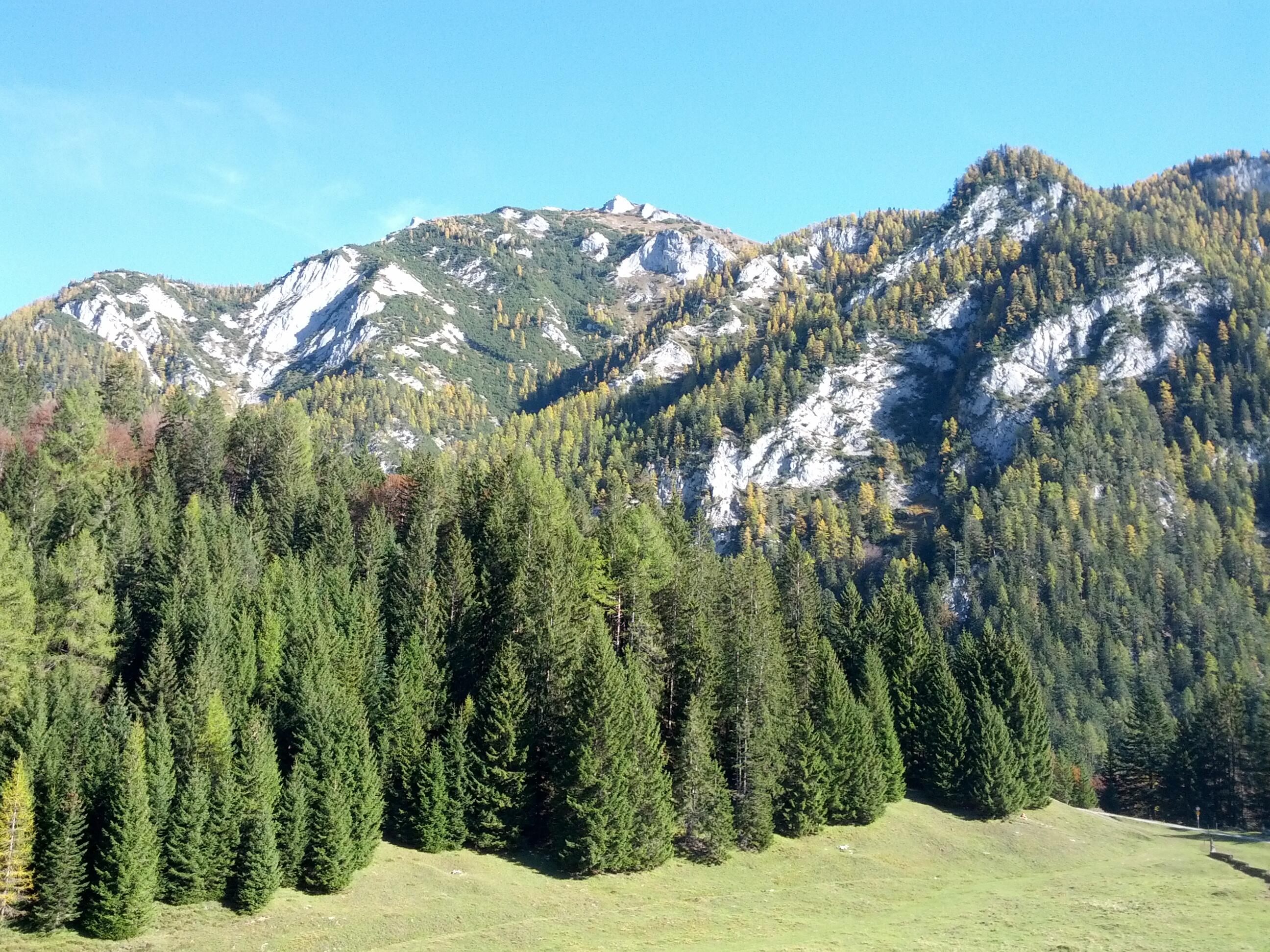 Bild ohne Beschreibung