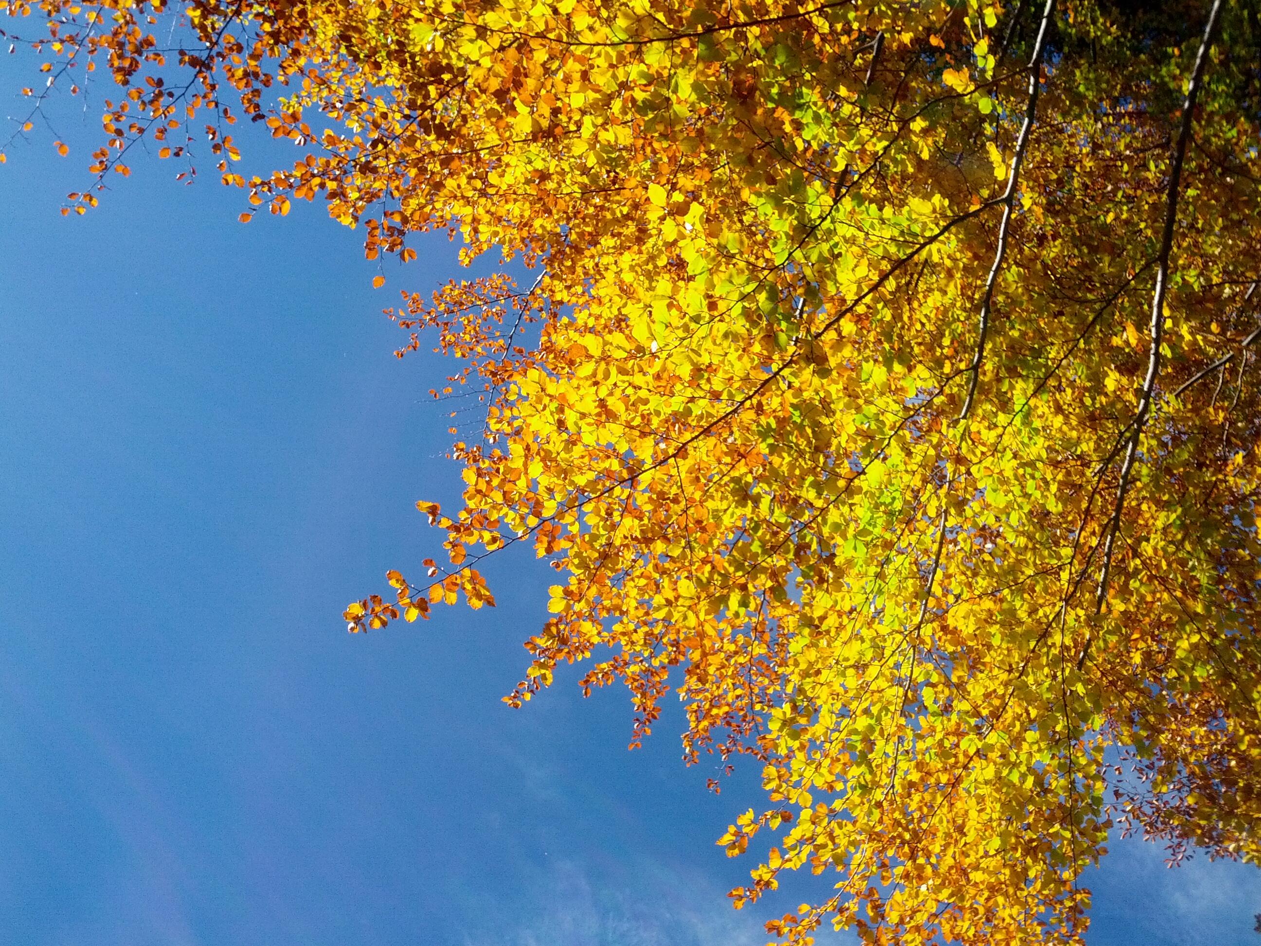 Bild ohne Beschreibung