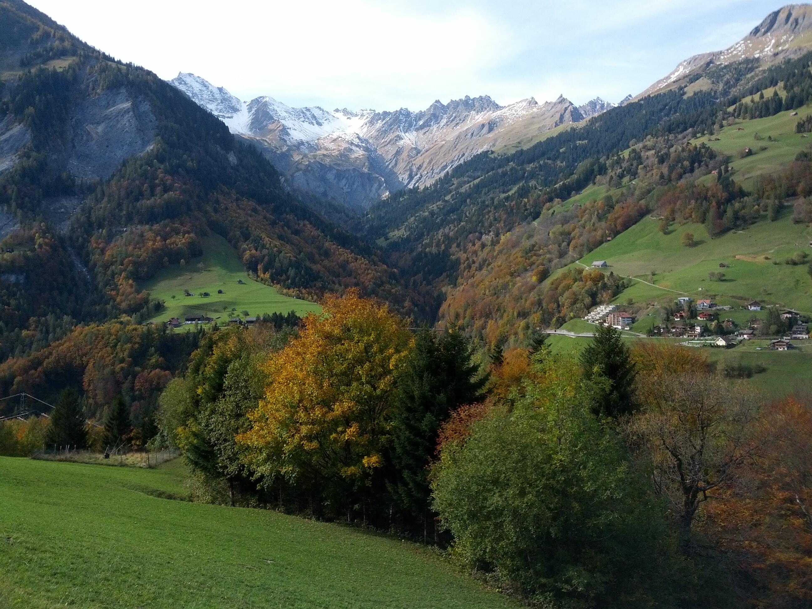 Bild ohne Beschreibung