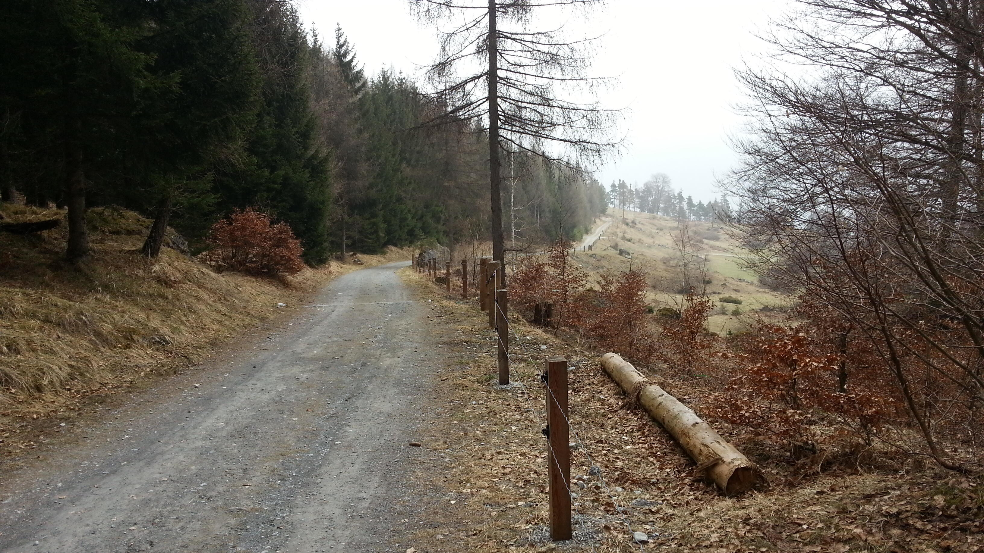 Bild ohne Beschreibung Bild ohne Beschreibung