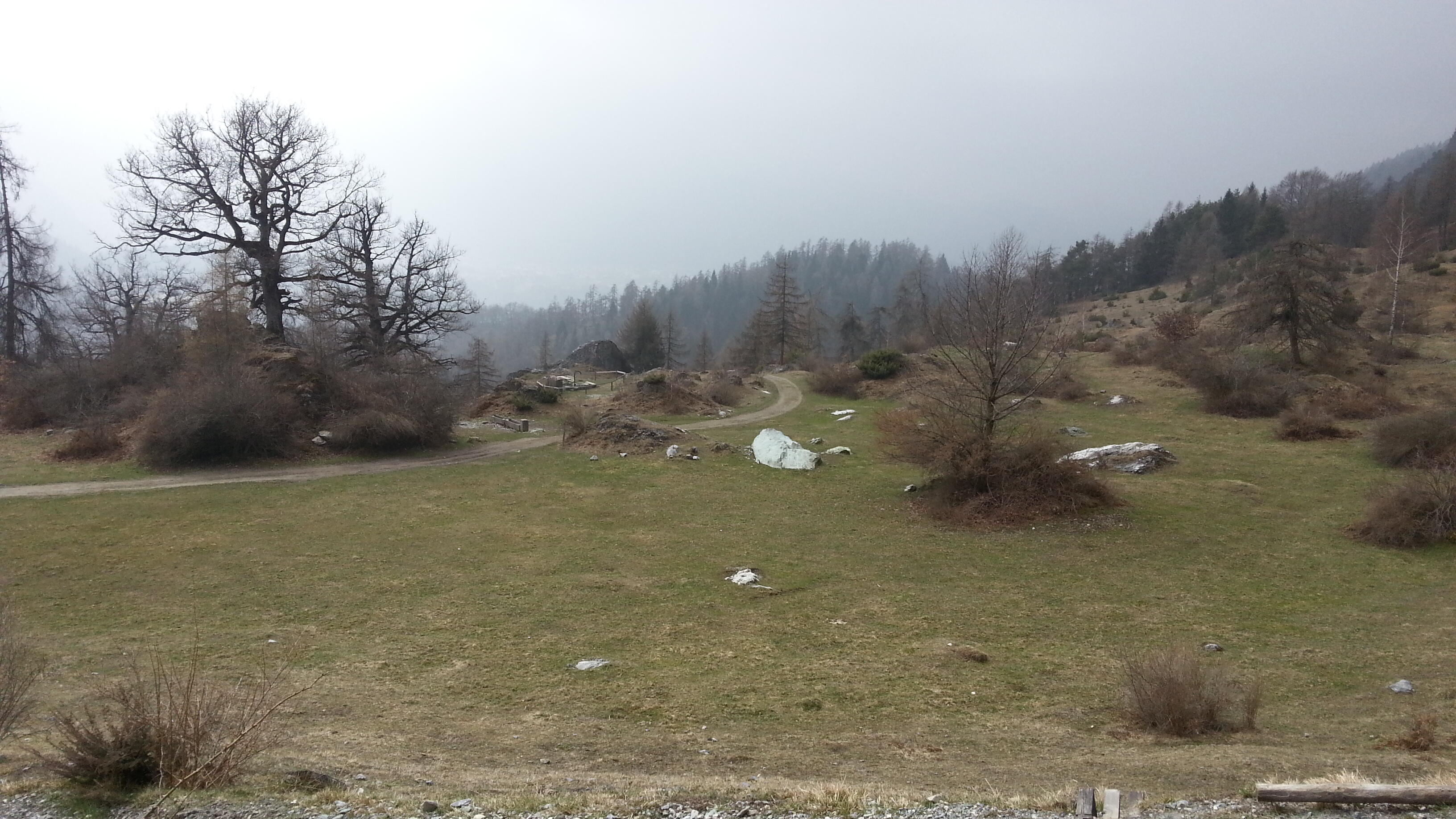 Bild ohne Beschreibung Bild ohne Beschreibung