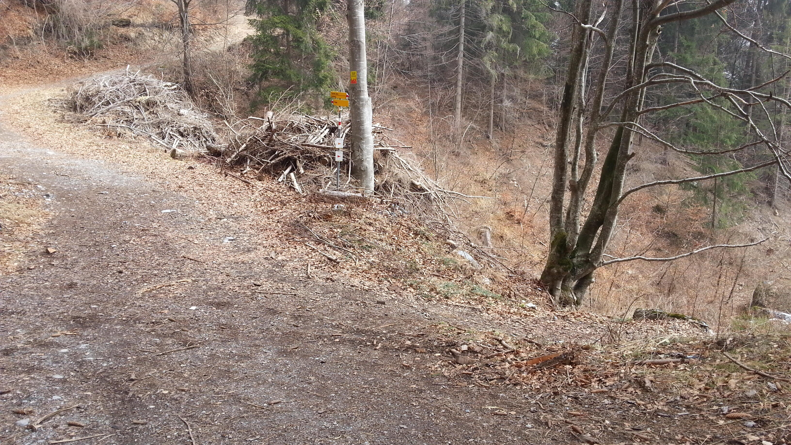 Bild ohne Beschreibung Bild ohne Beschreibung