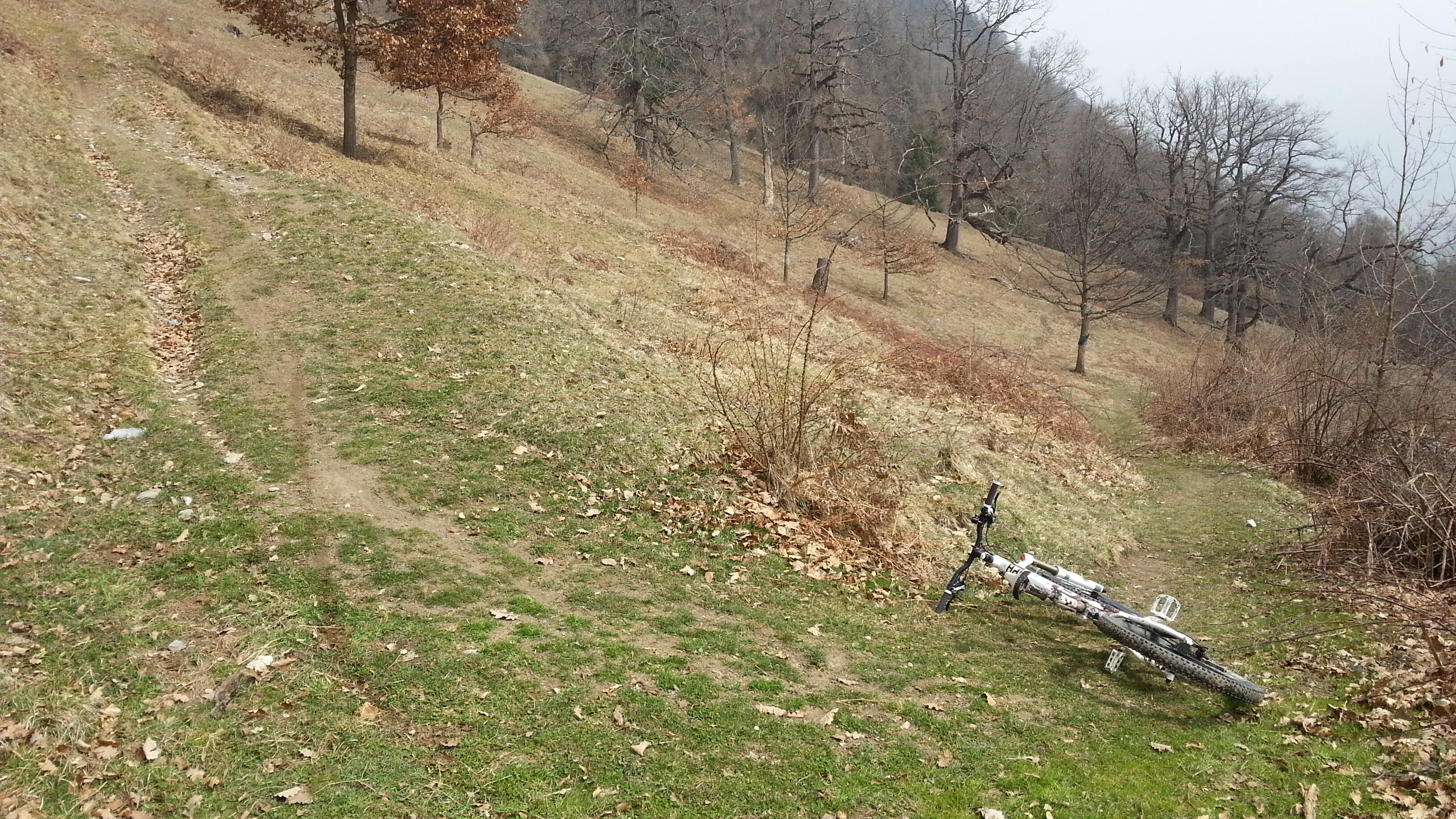 Bild ohne Beschreibung Bild ohne Beschreibung