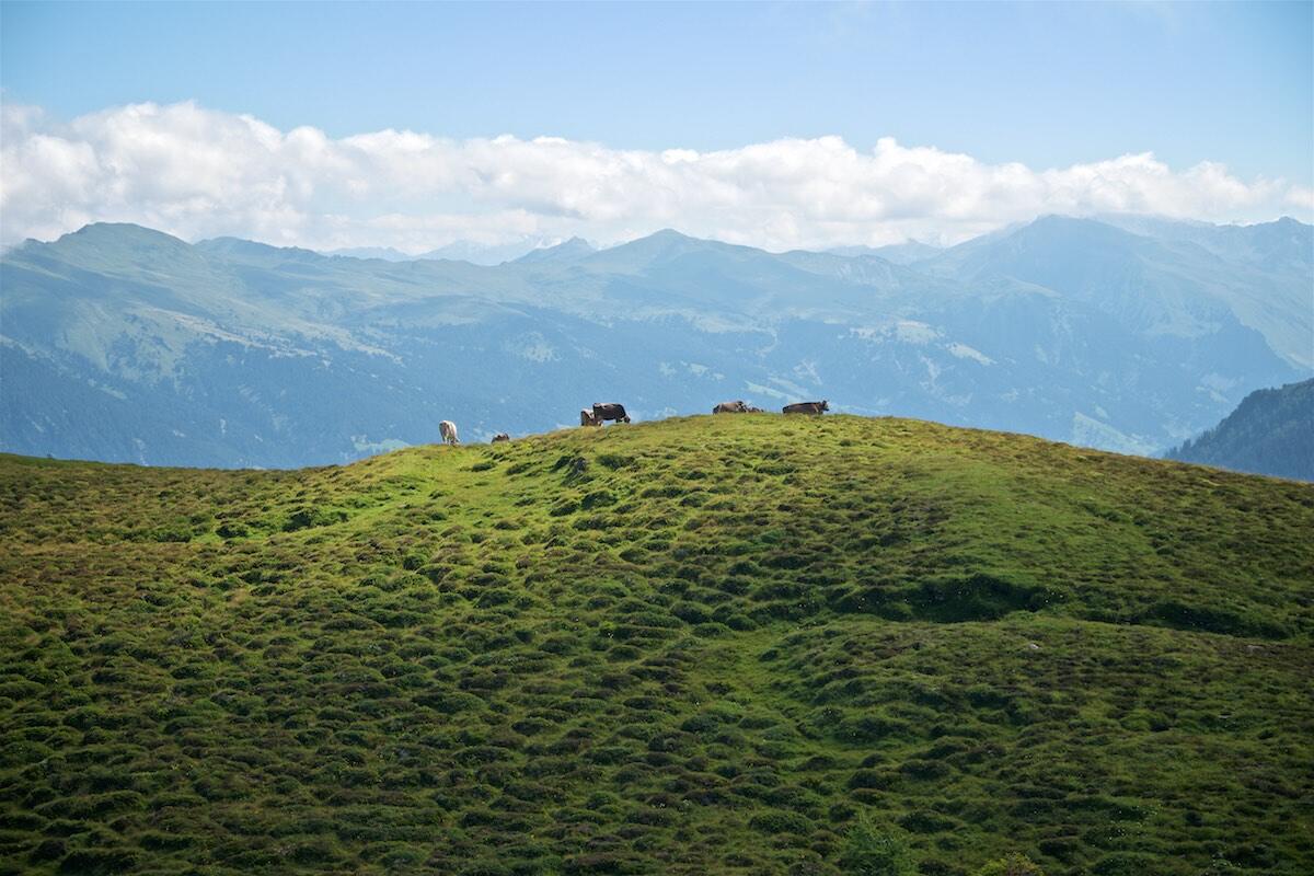 Bild ohne Beschreibung