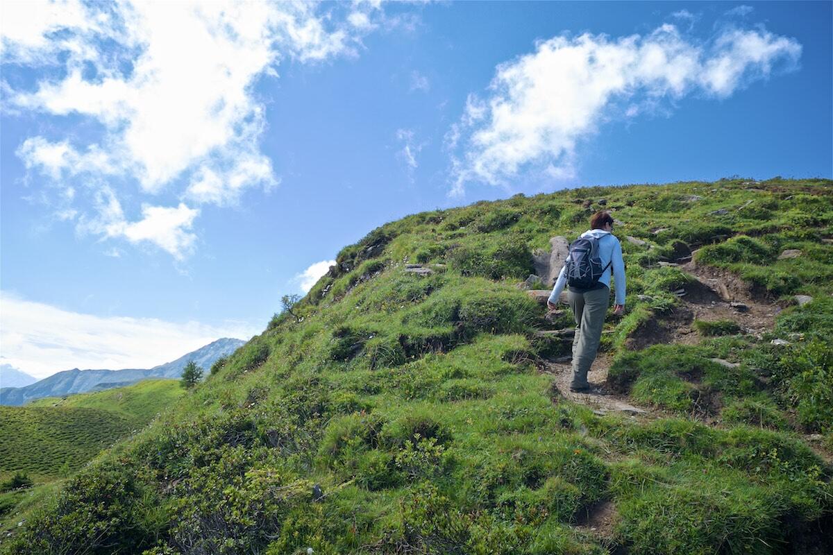 Bild ohne Beschreibung