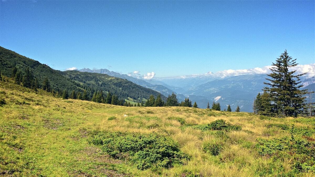 Bild ohne Beschreibung