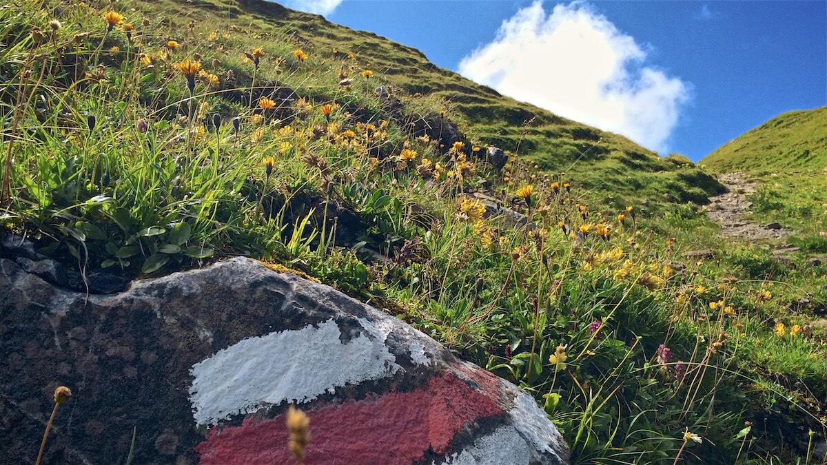 Bild ohne Beschreibung