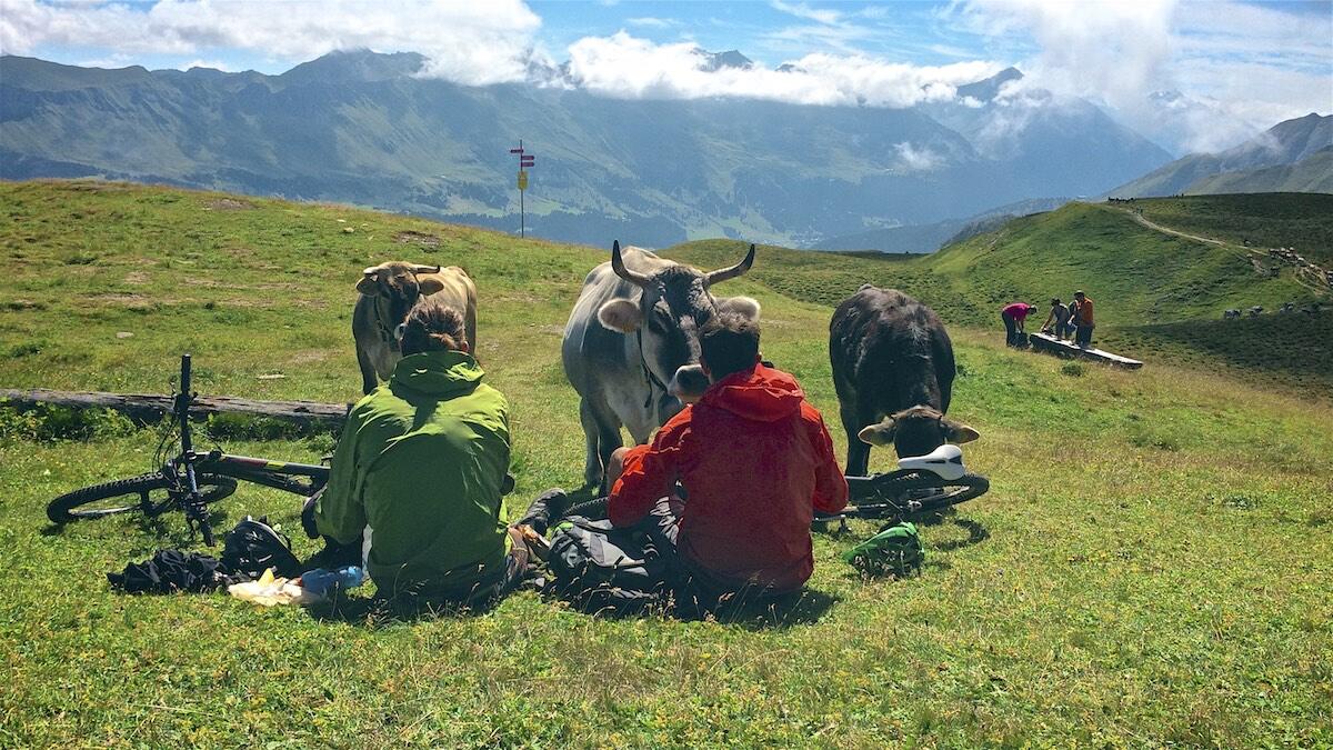 Bild ohne Beschreibung