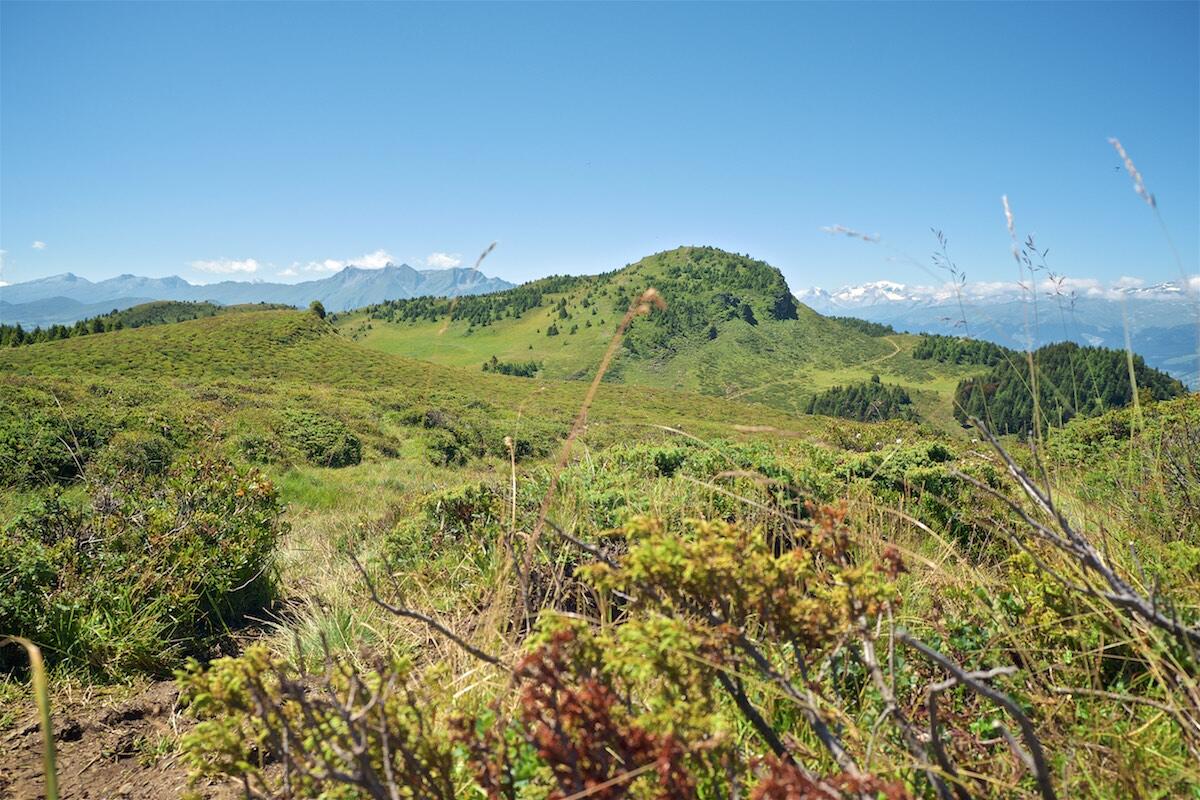 Bild ohne Beschreibung